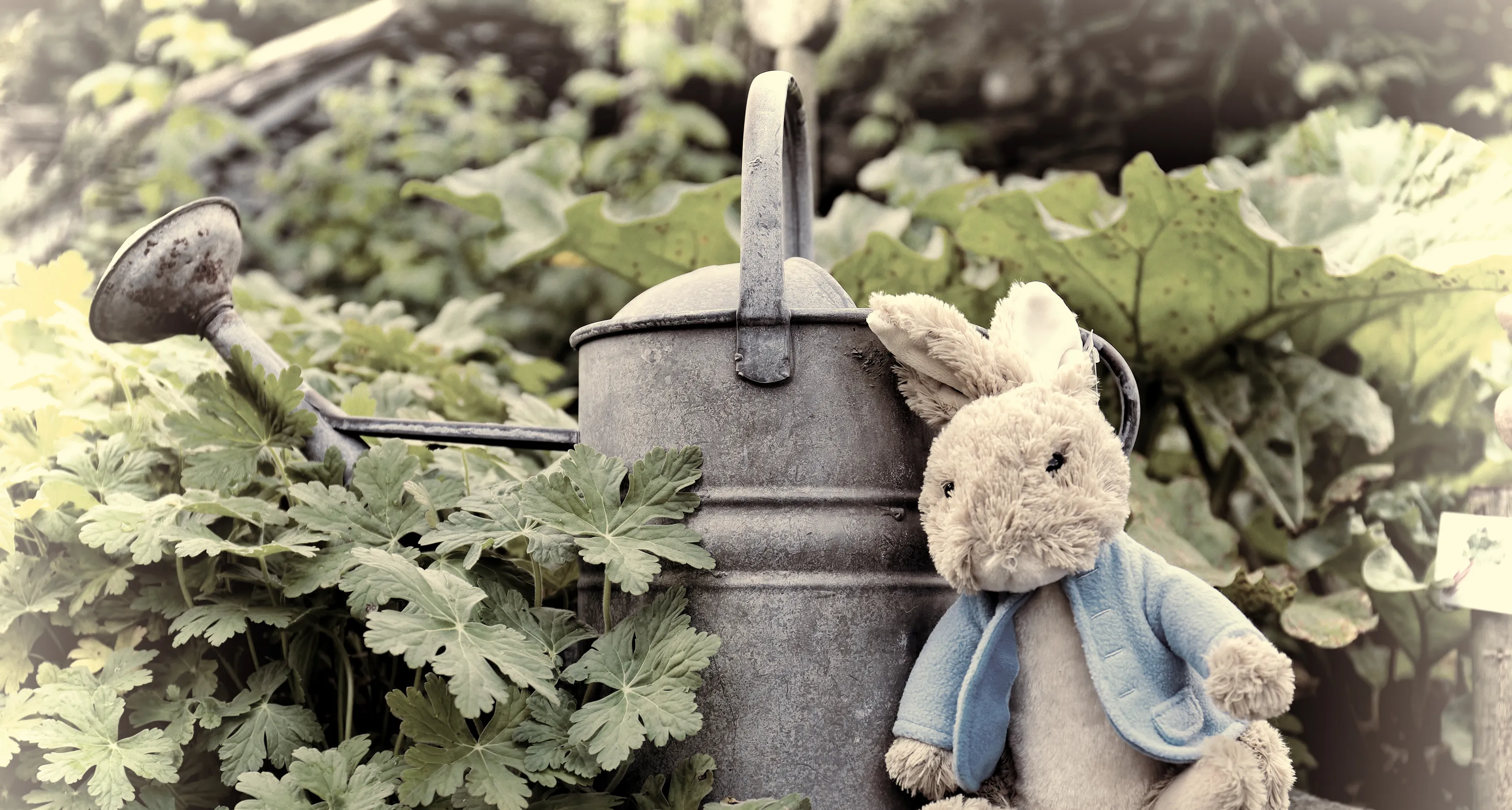Outdoor still life