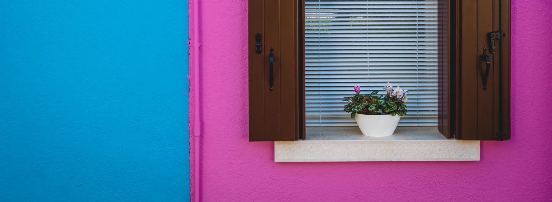 Outdoor still life