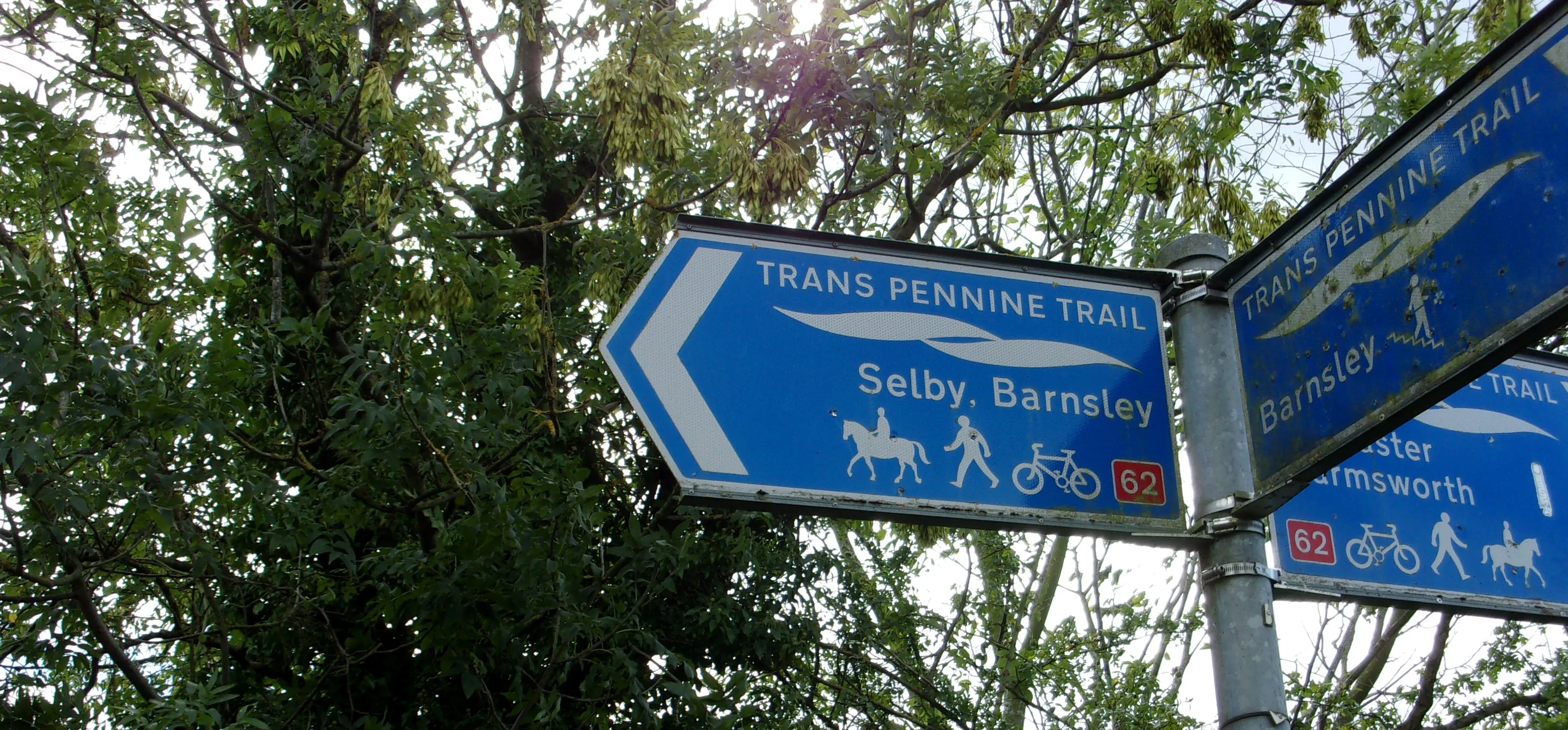 Signs in Colour