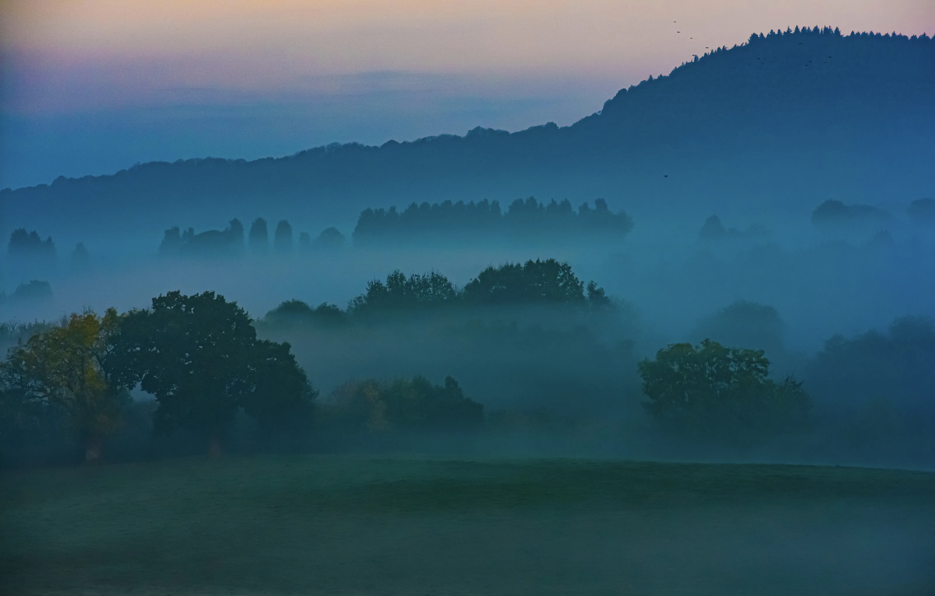Misty Mornings