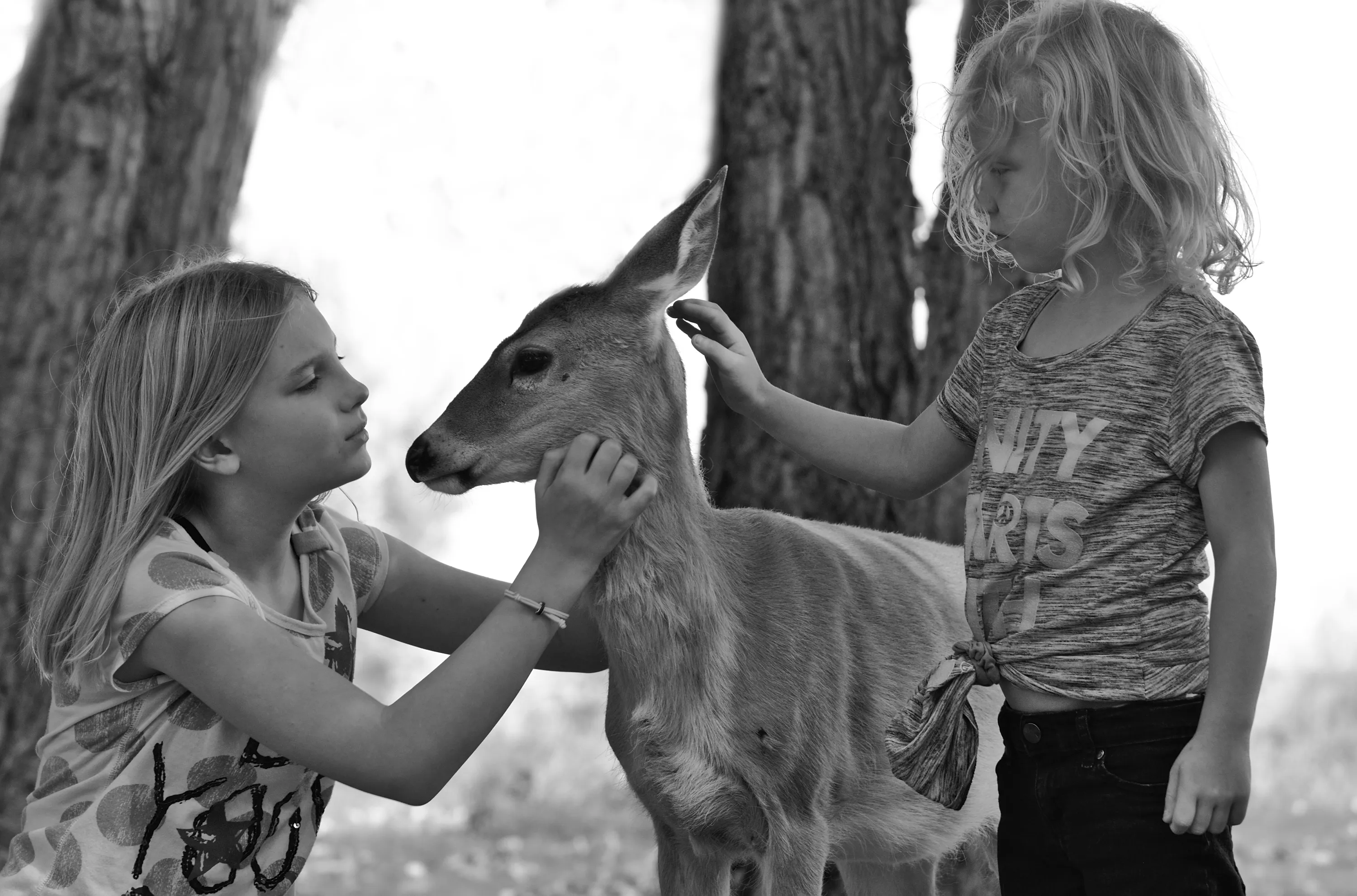 Humans Interacting With Wildlife
