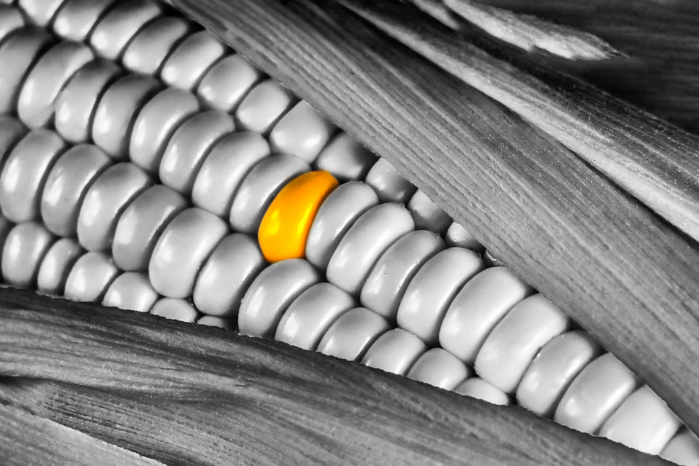 Selective Colour