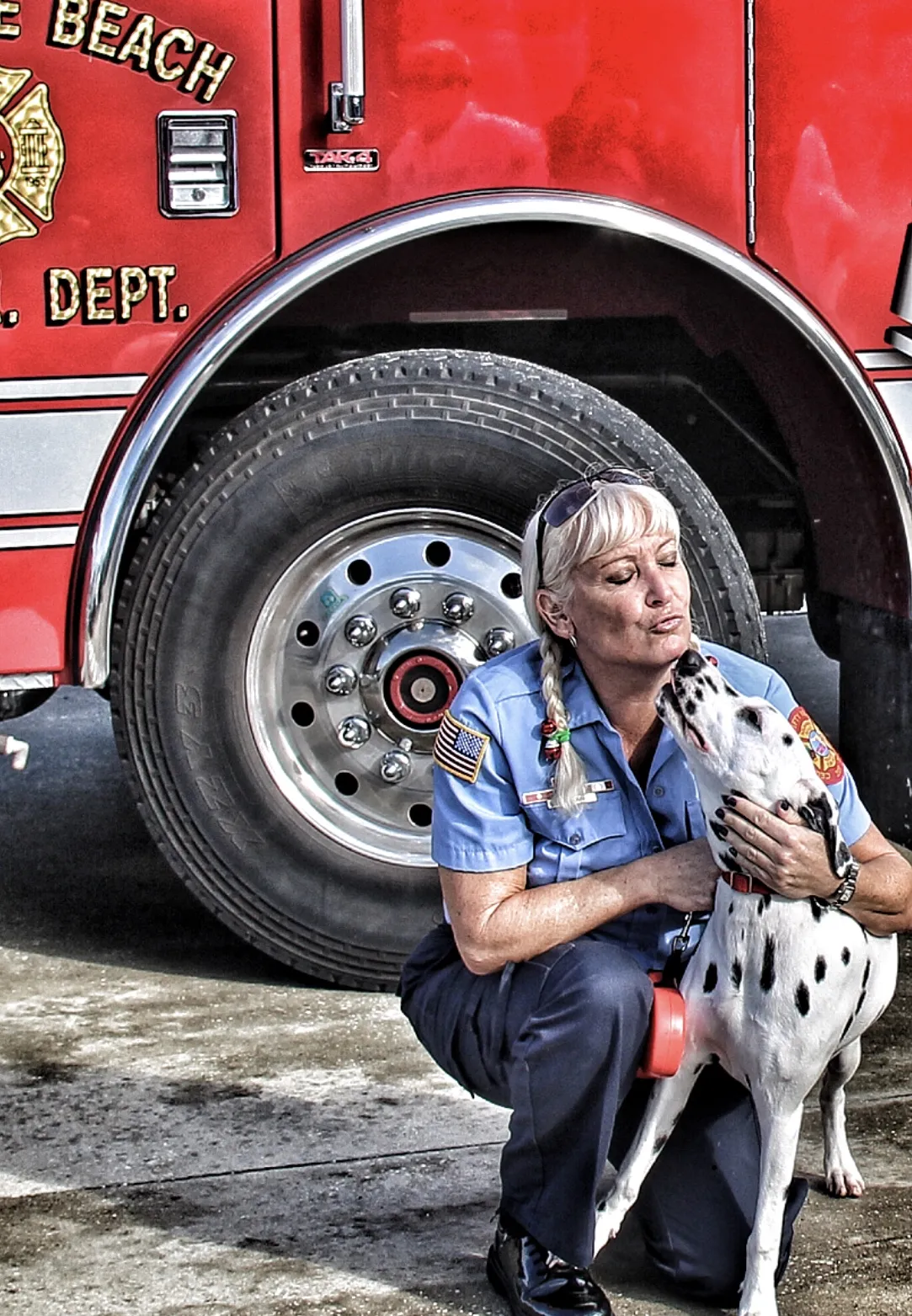 Working Dogs