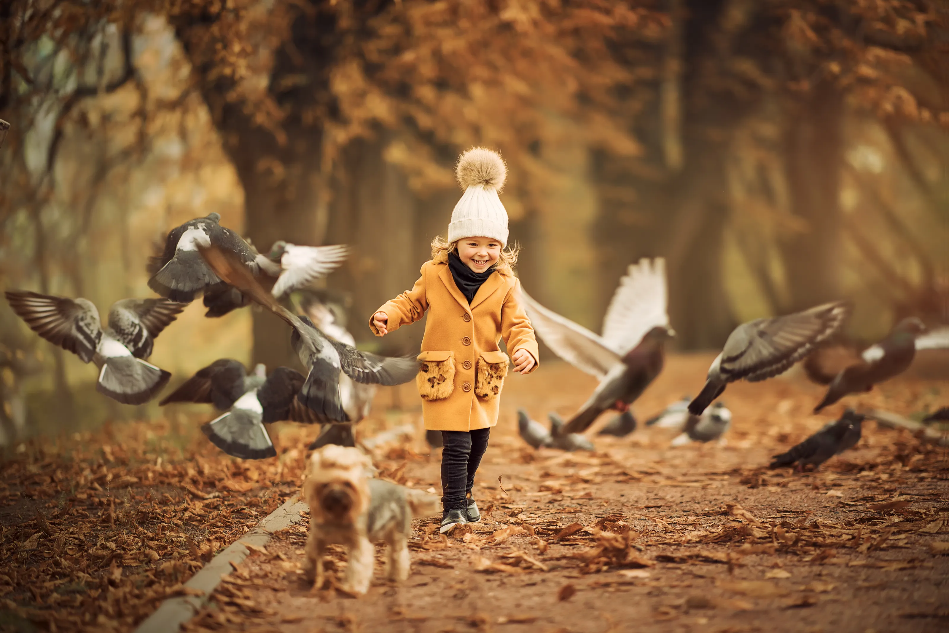 Autumn colours