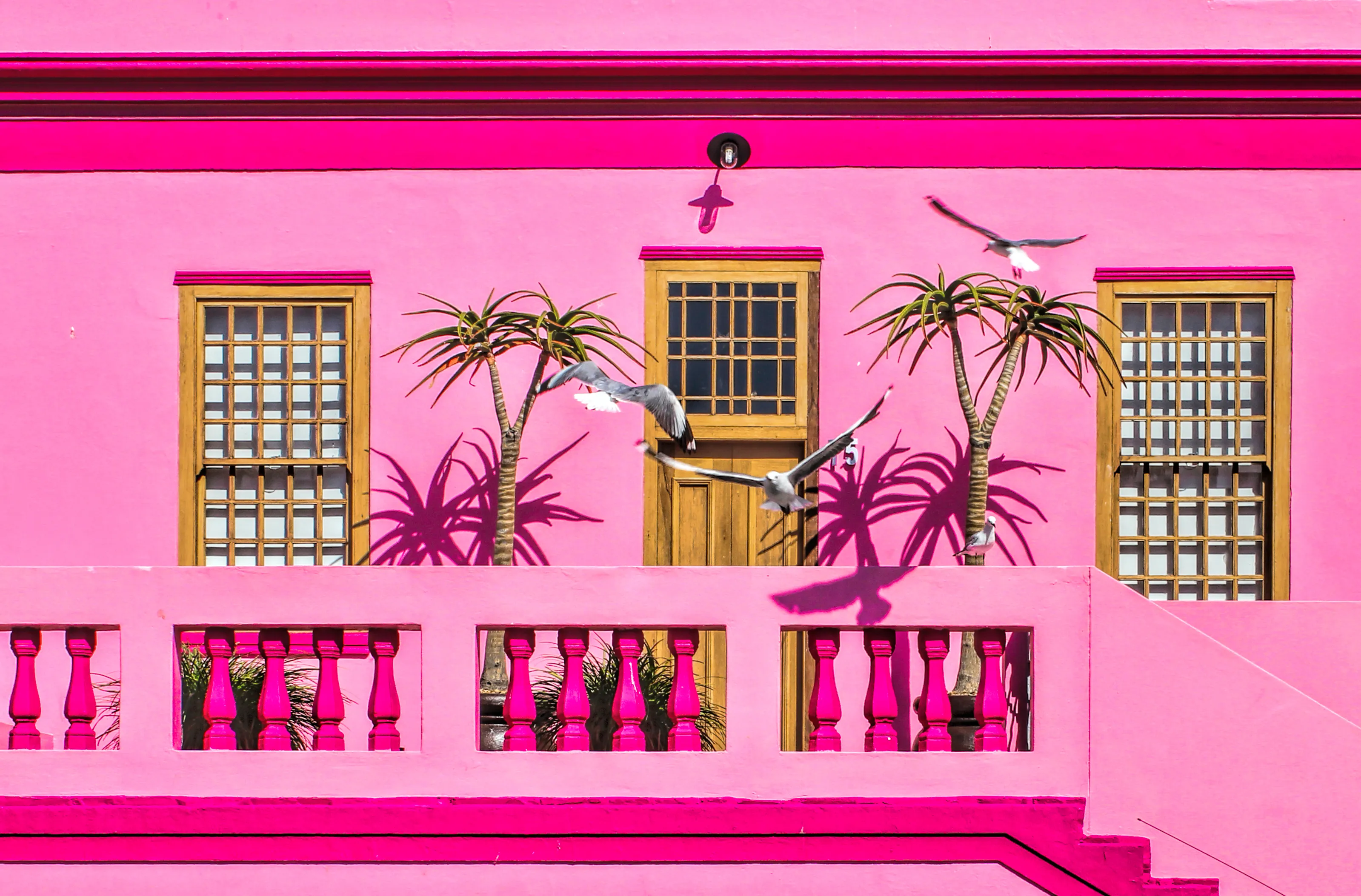 Pink
