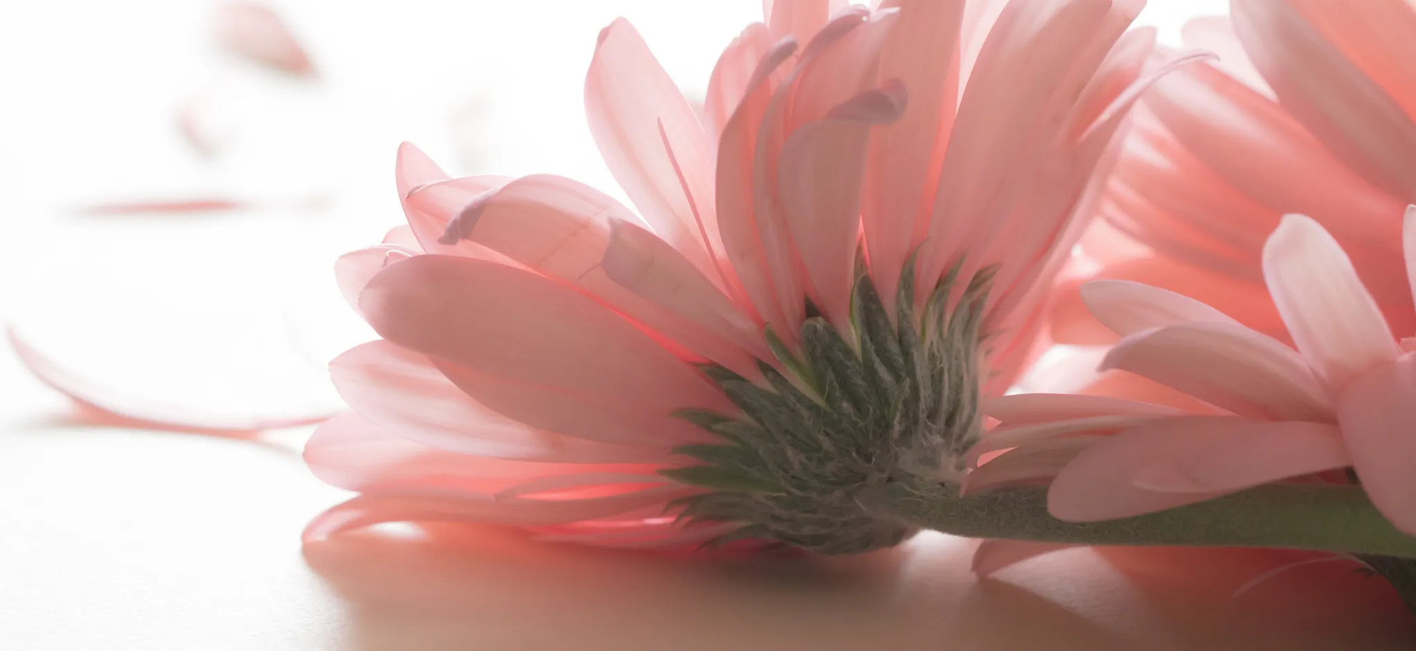 Pastel colours