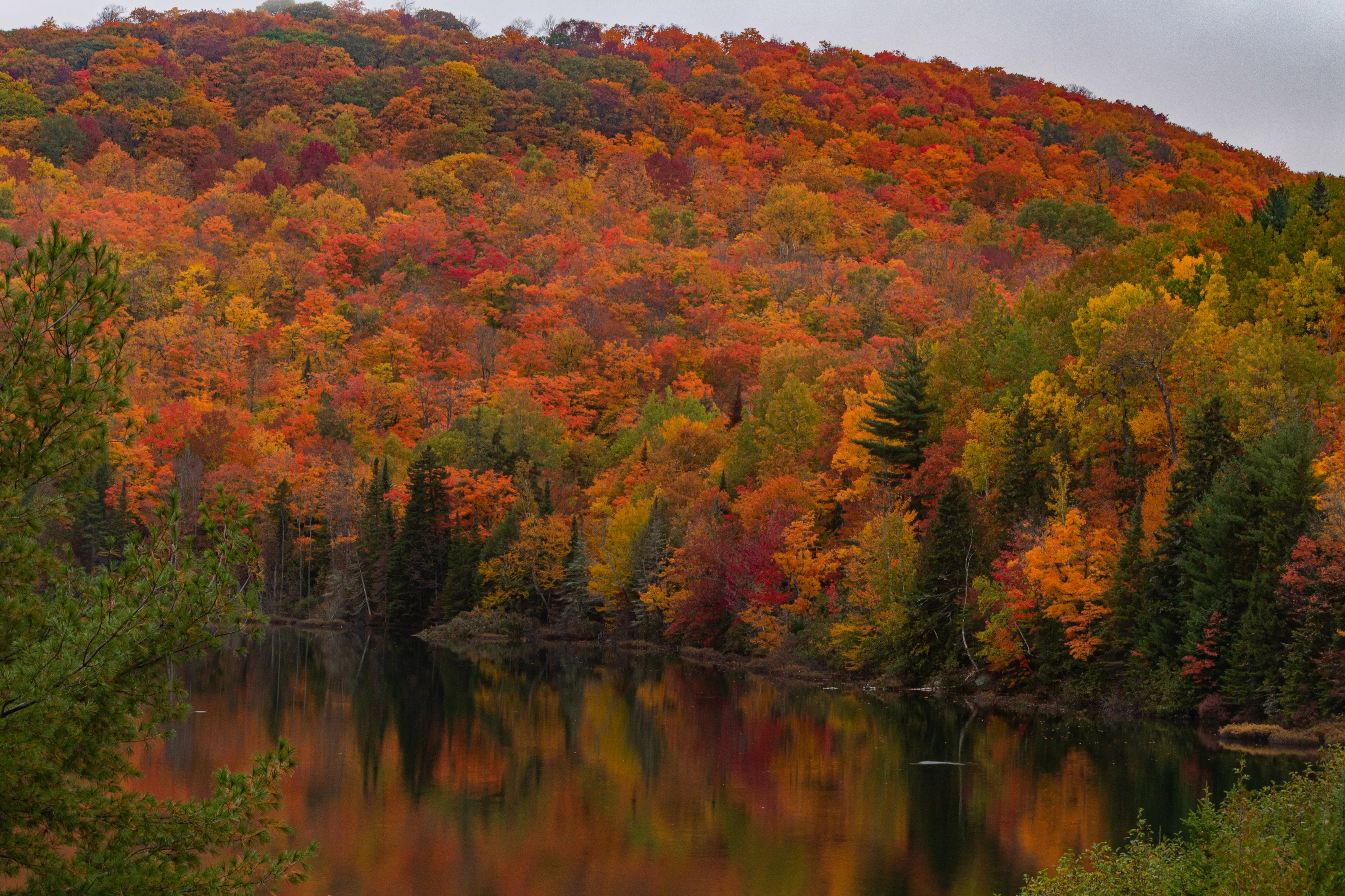 Autumn Colours In Nature