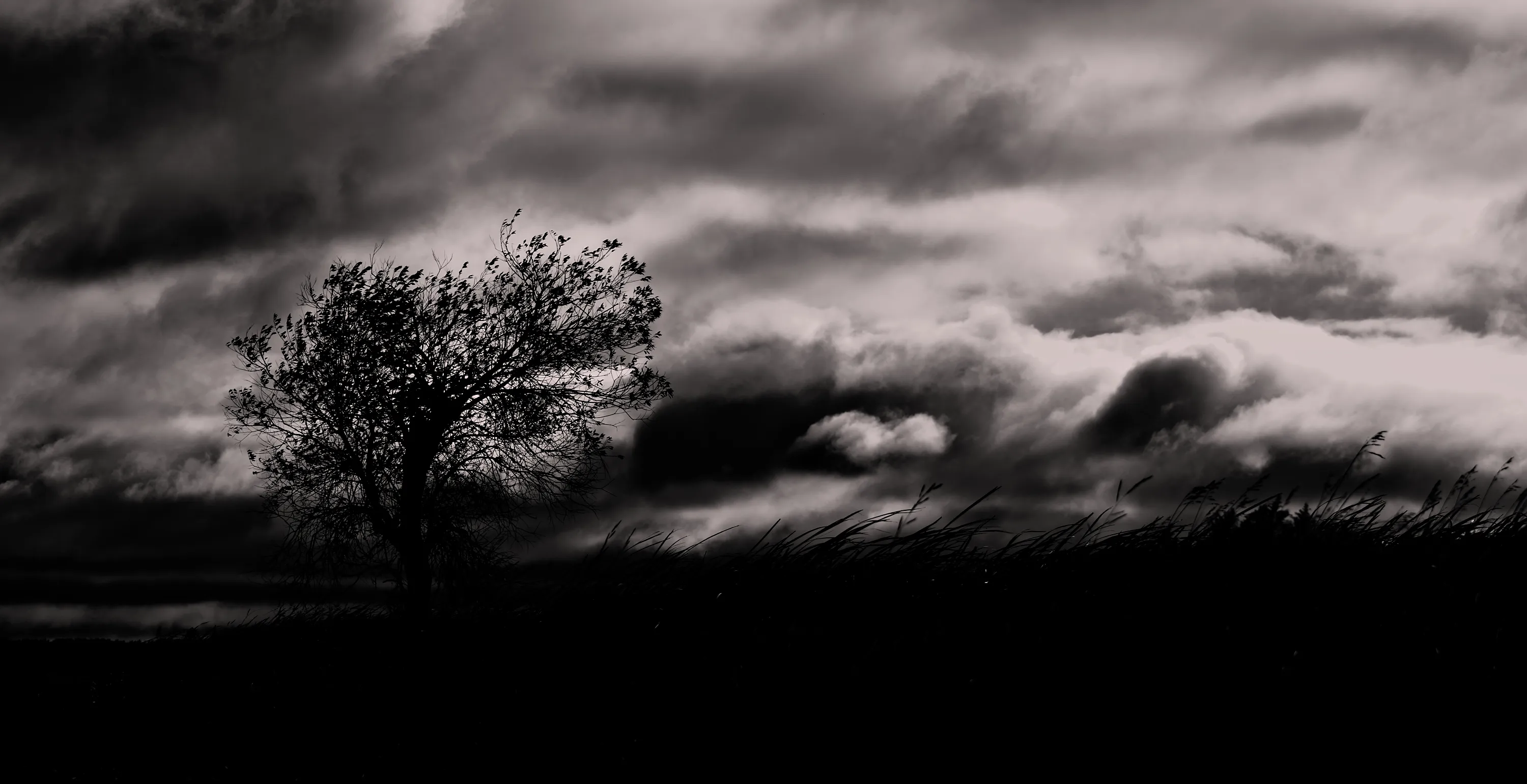 Dark and Moody Atmospheric Scenes