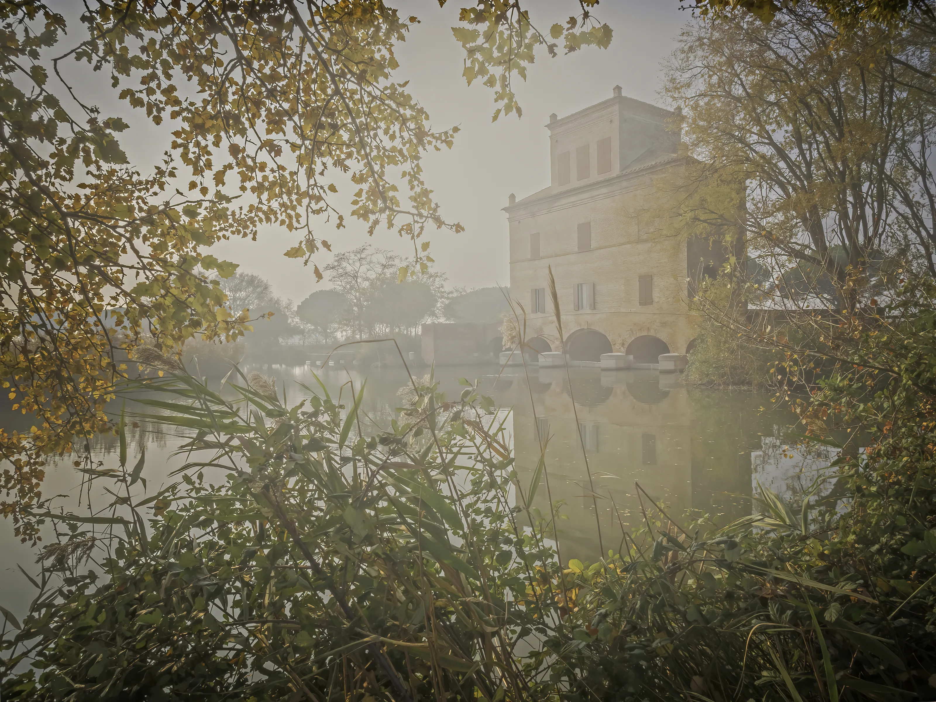 Autumn Fog and Mist