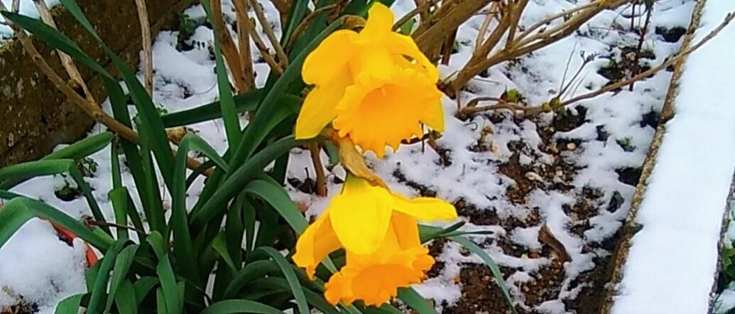Two Seasons
