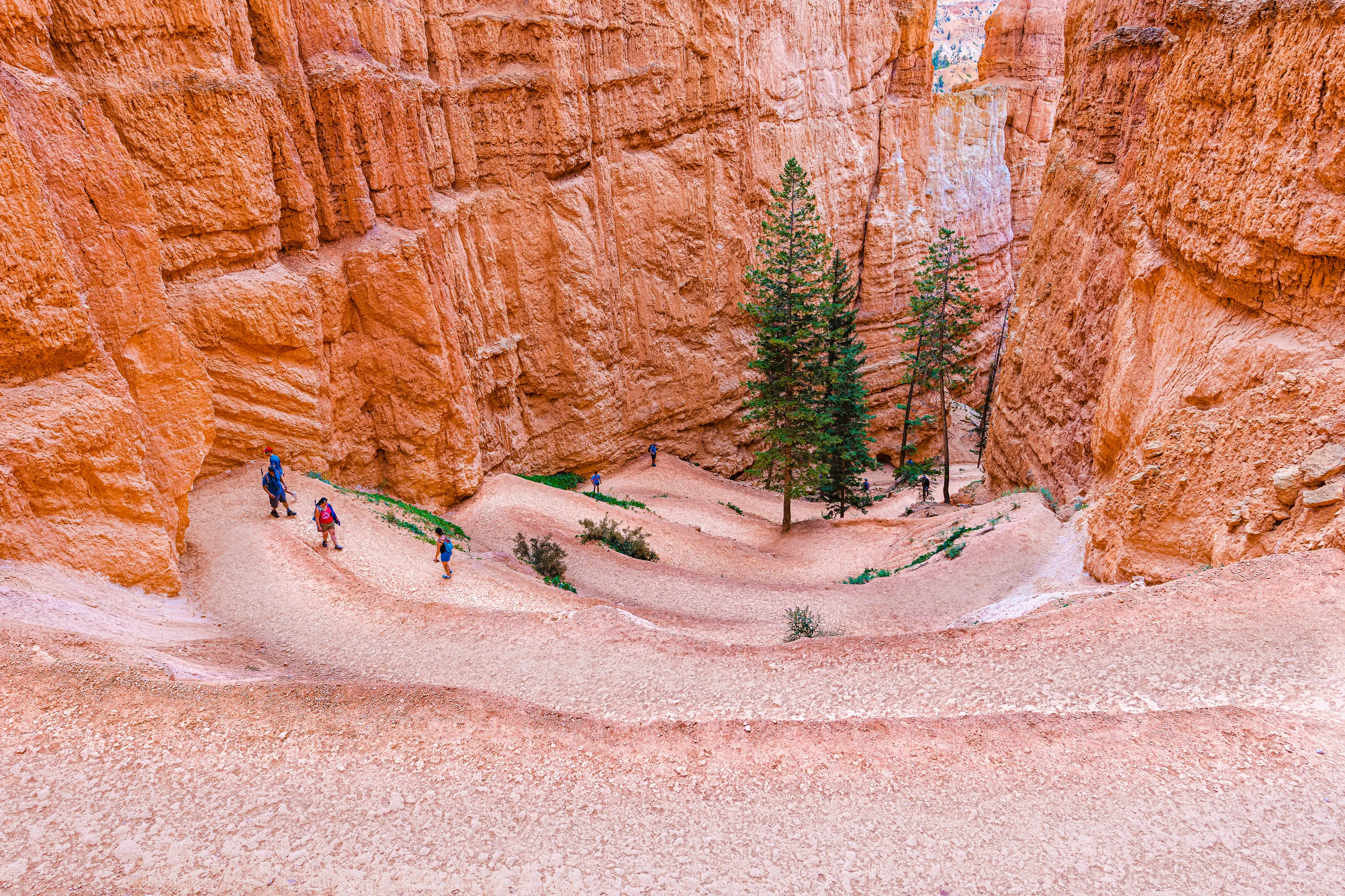 Hiking Trail Paths