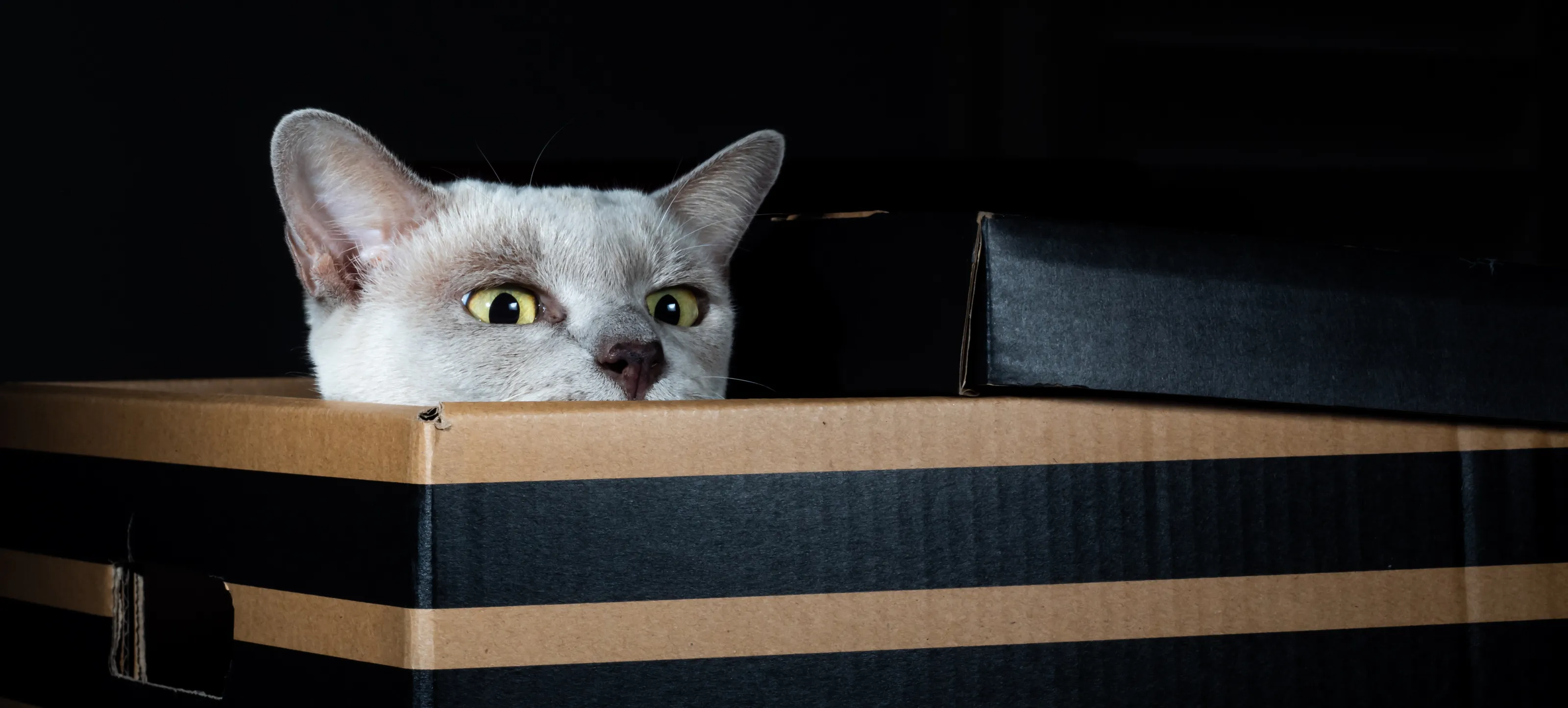 Contained
