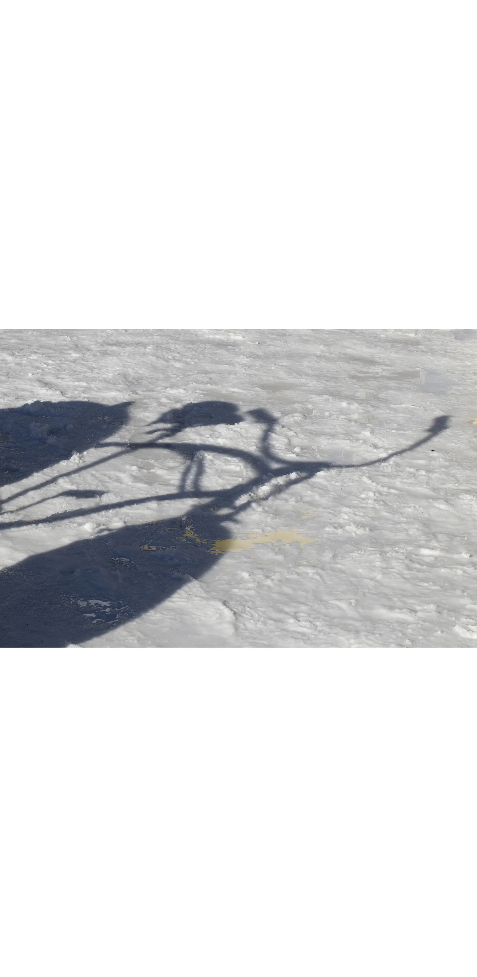 Cast Shadows