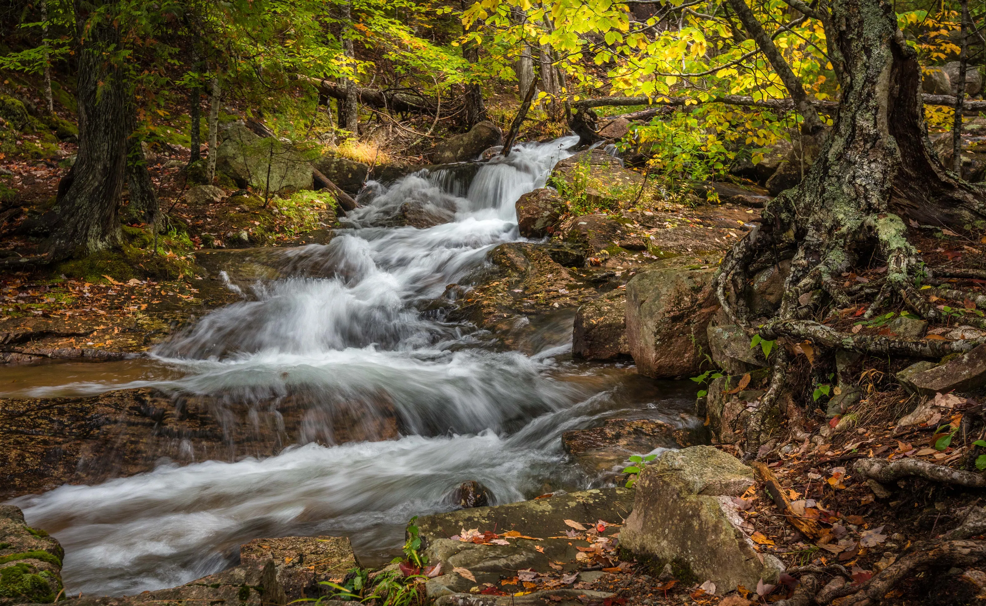 Creeks and Streams