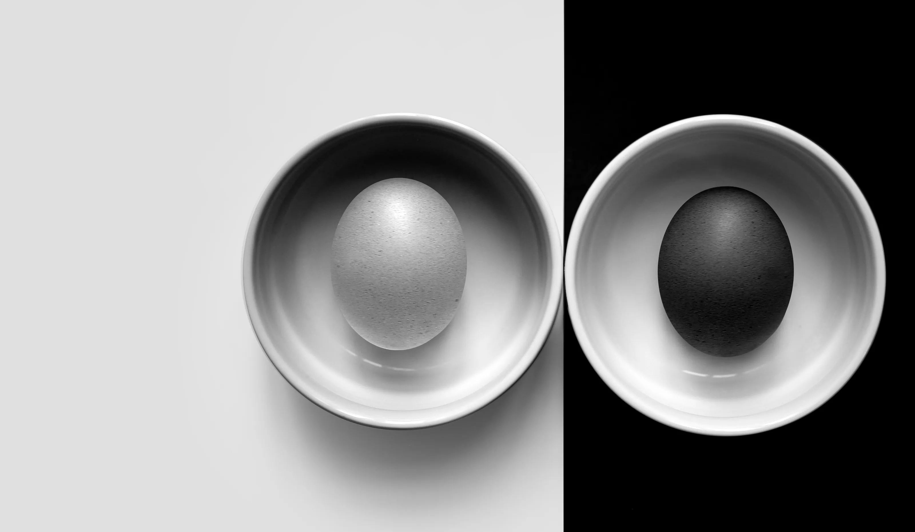 Black and white still life
