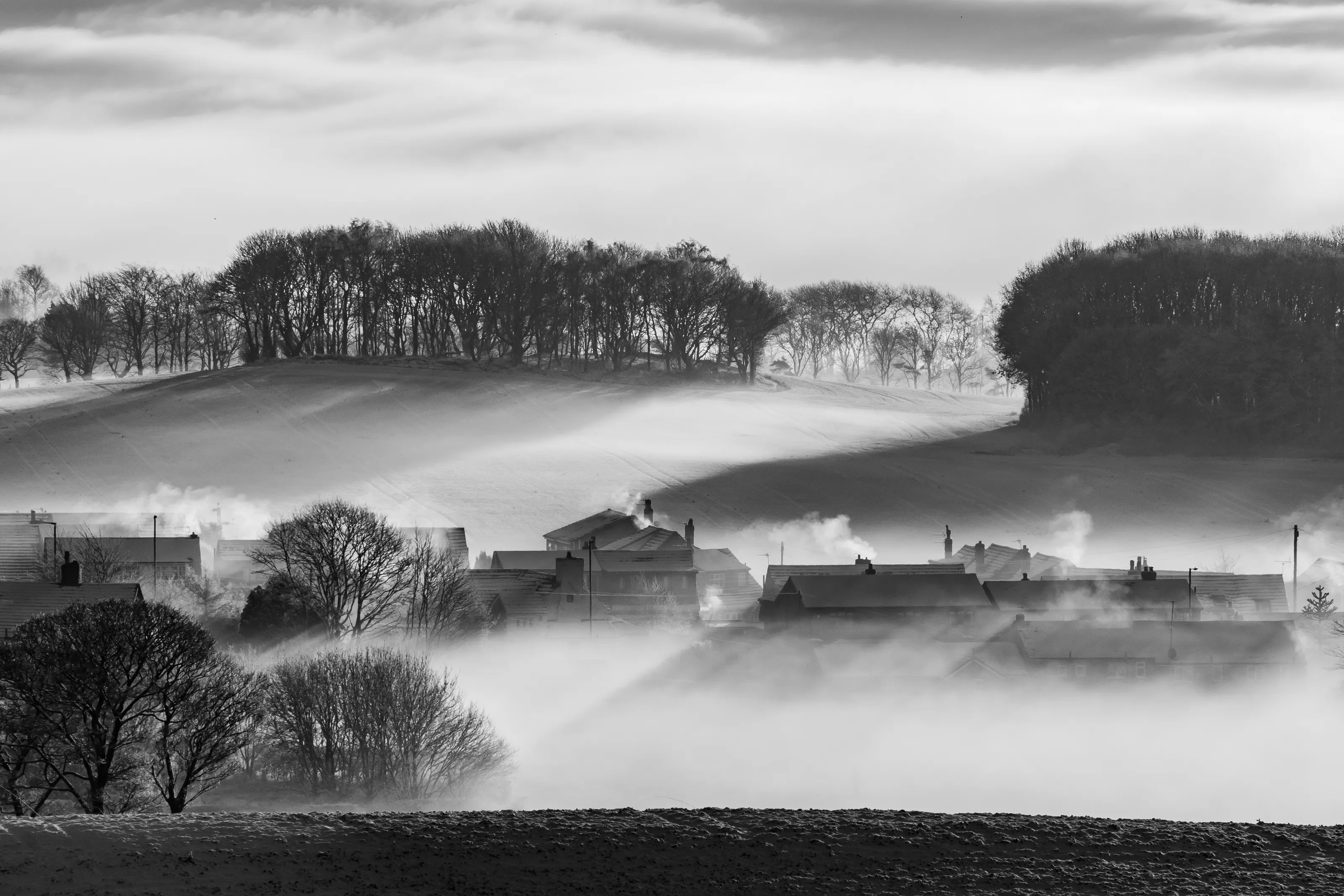 Winter Scenes in Black and White