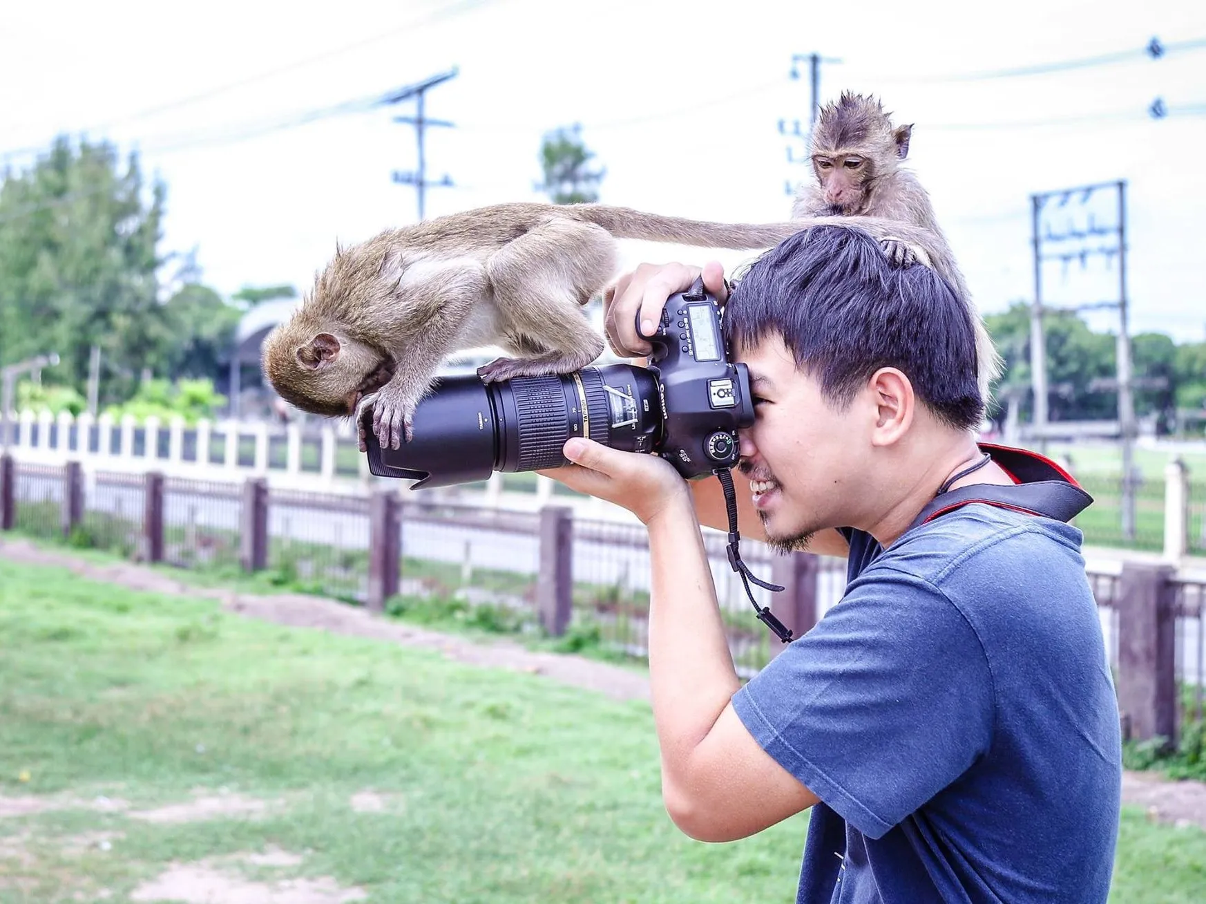 Photographers Taking a Picture
