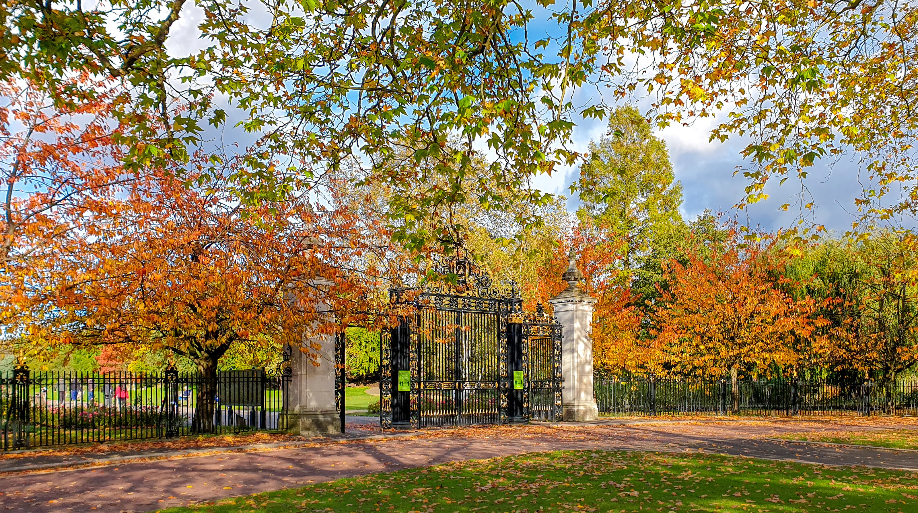 Autumn