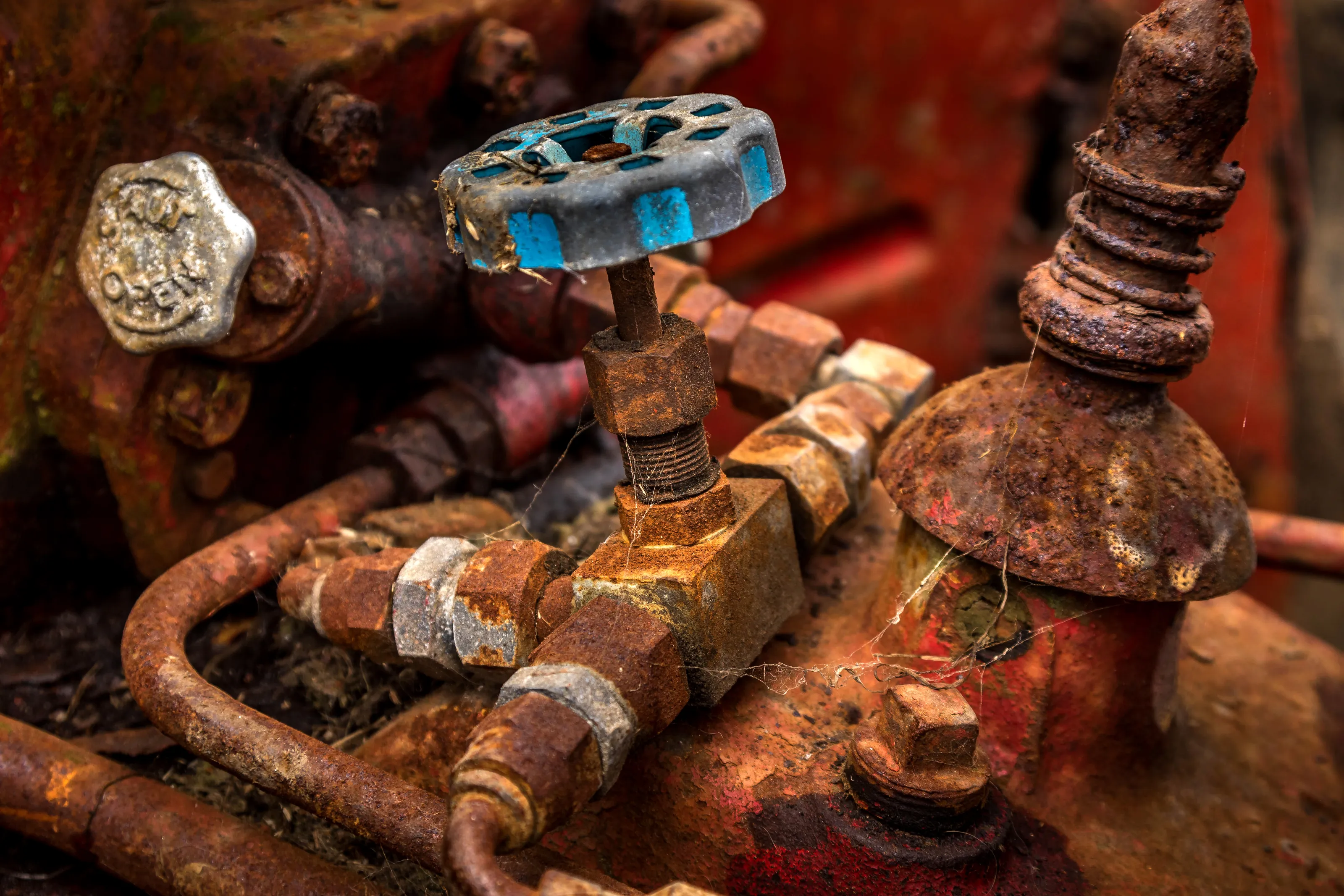 The Beauty of Rust
