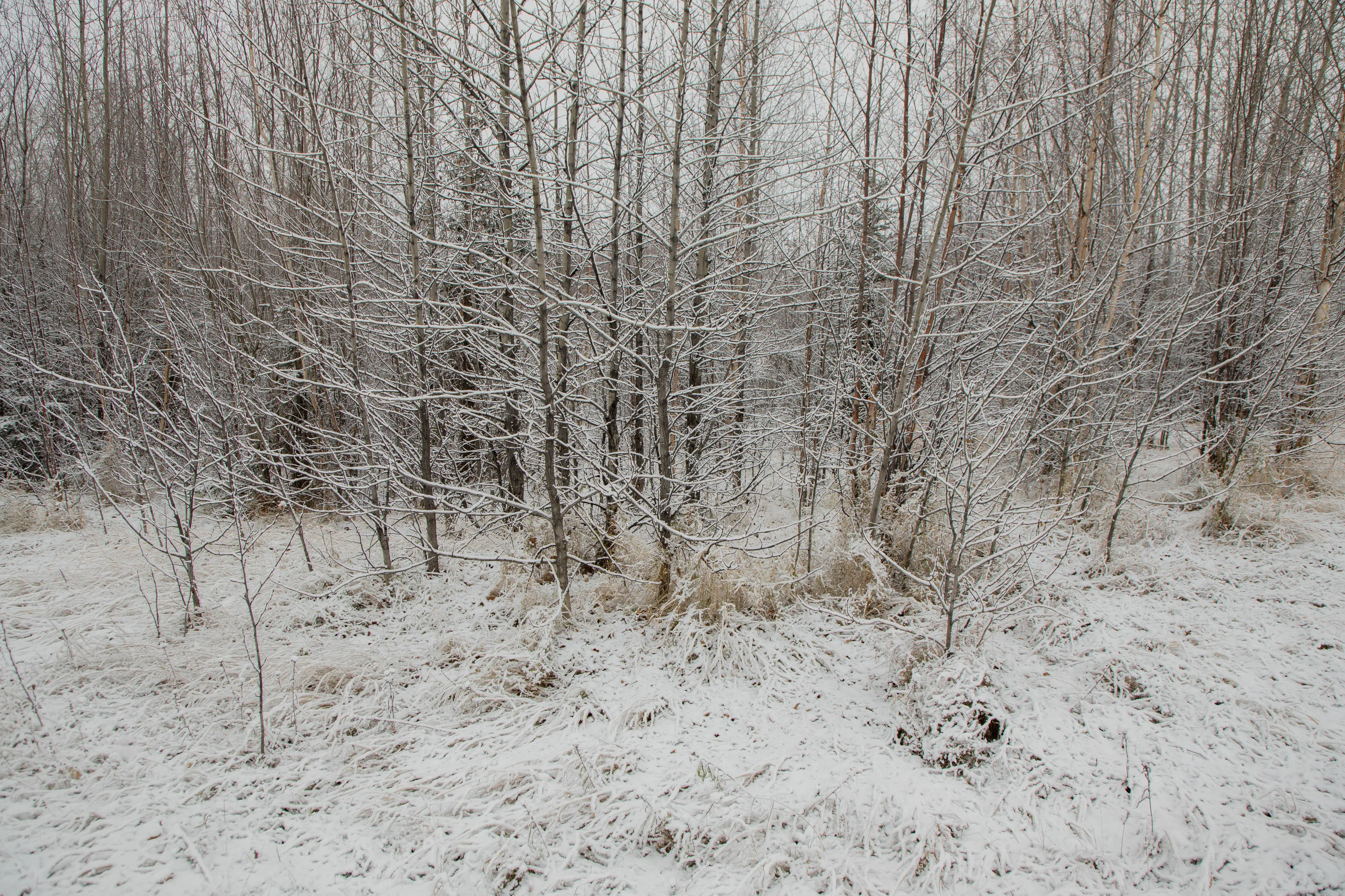 Nature or Landscapes Evoking Emotion