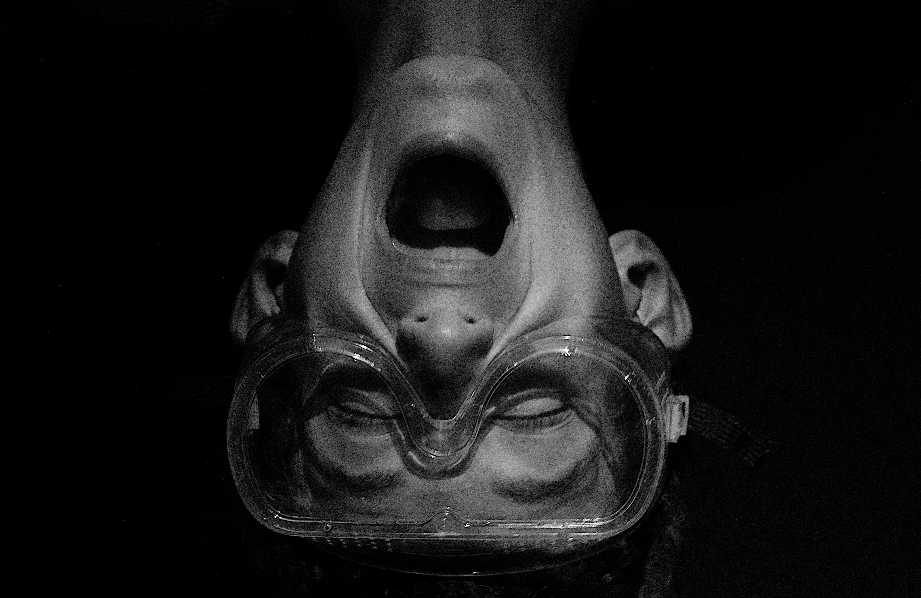 A Scream (no animals)