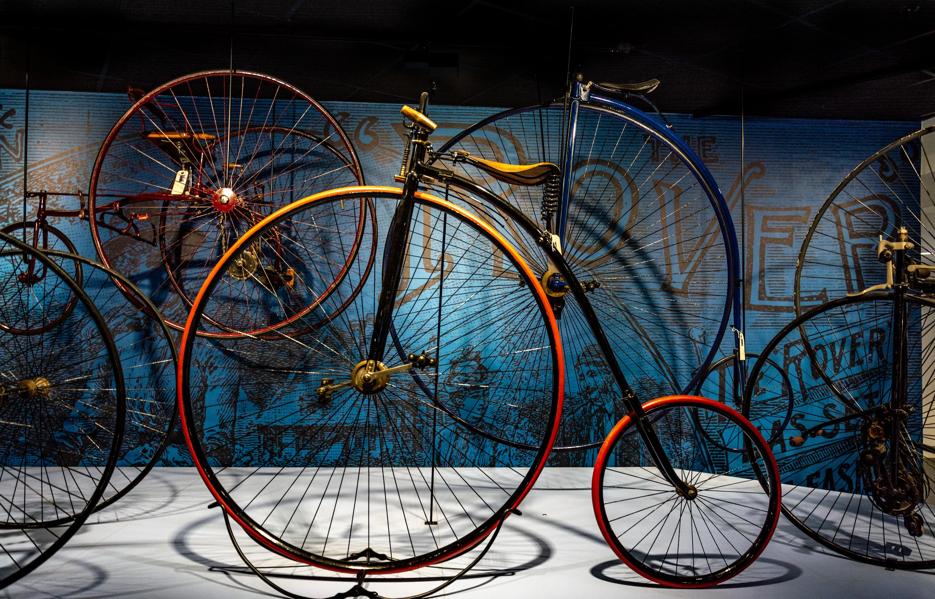 Museum Exhibits