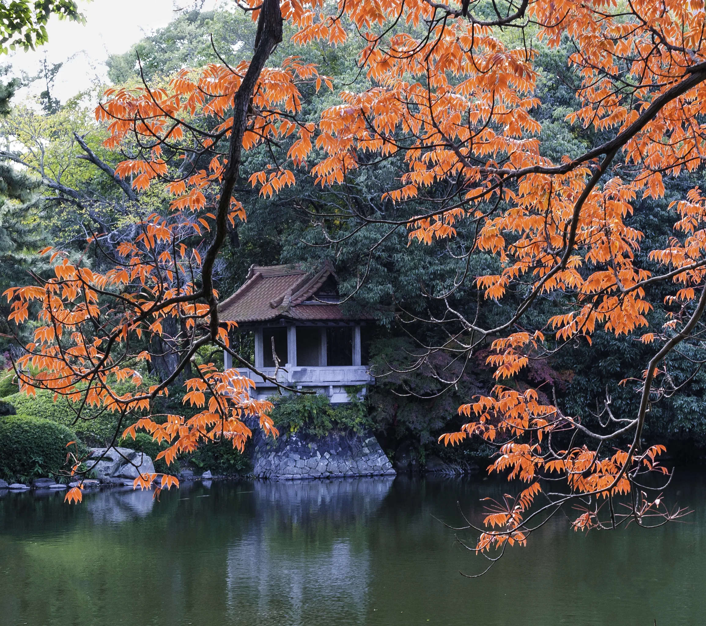 Japanese-Style Gardens (in colour)