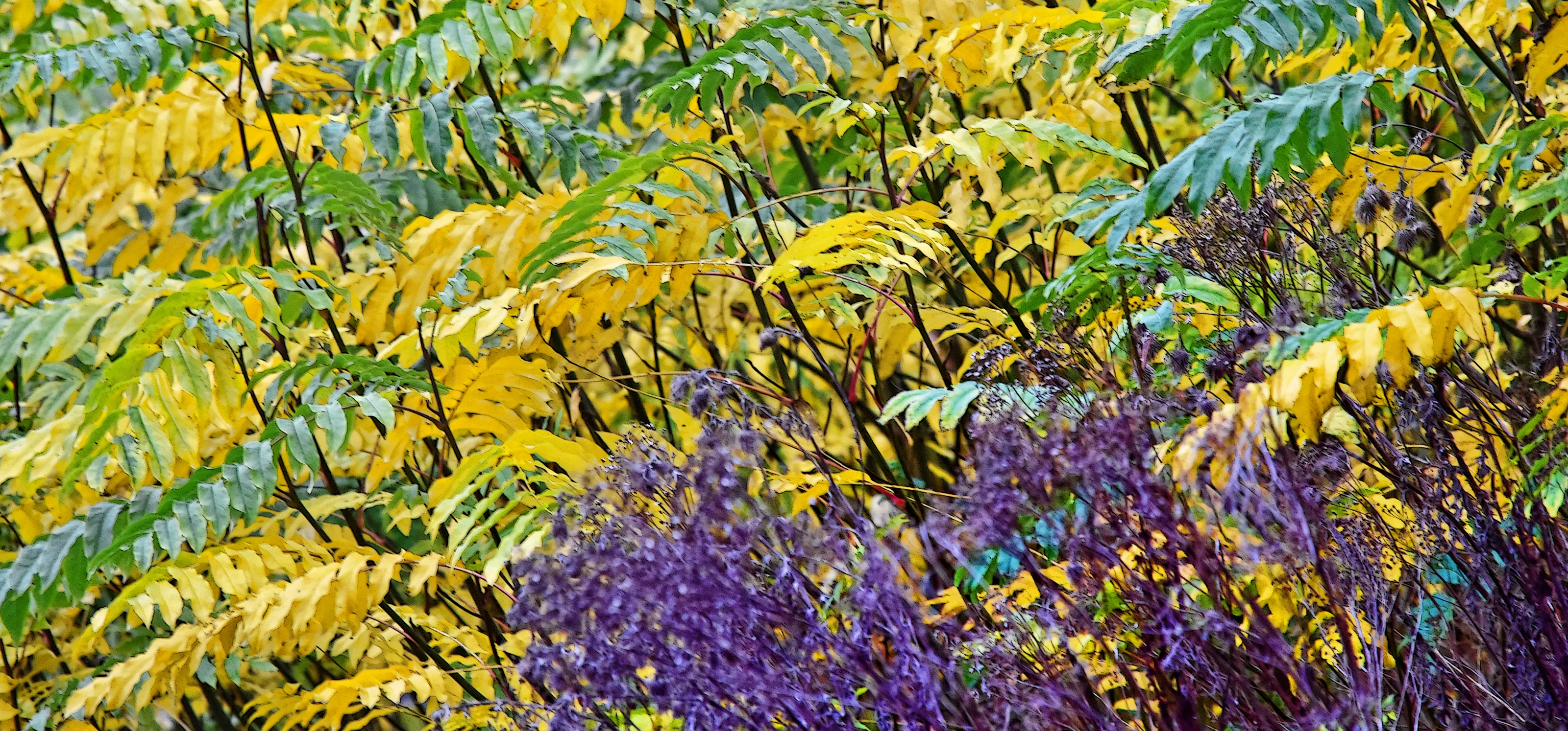 Three Colours
