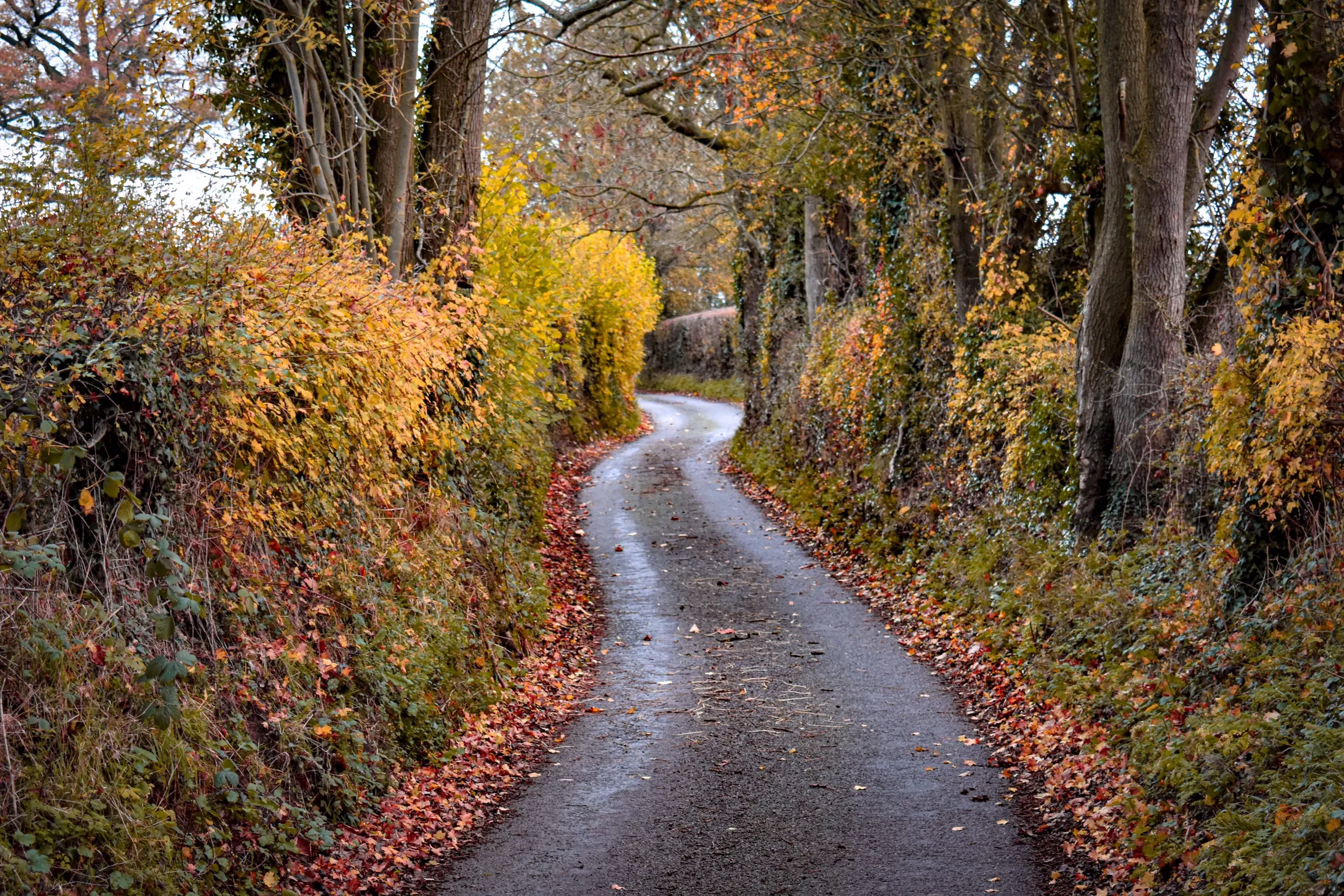 Single Track Countryside Roads (in colour)