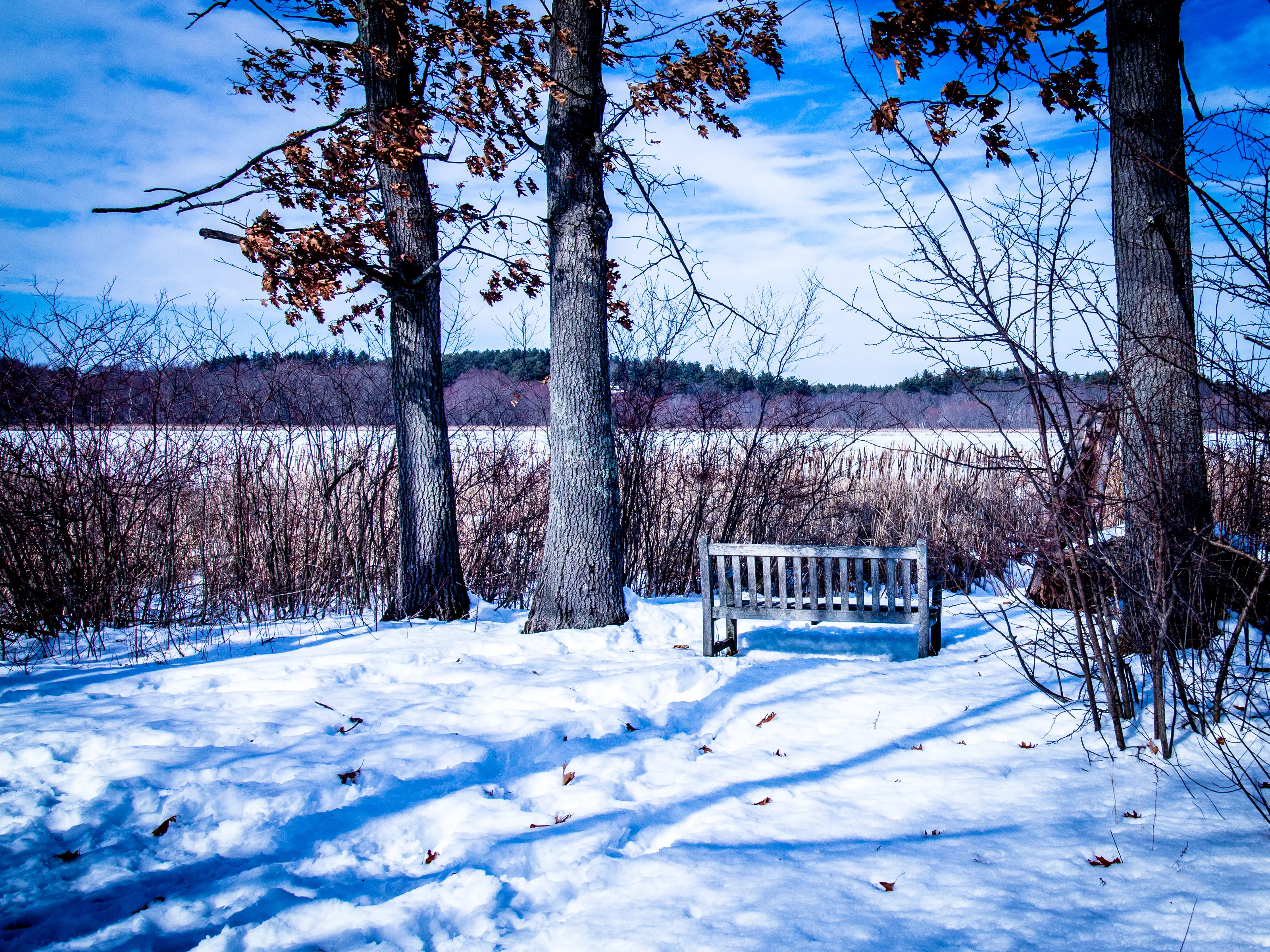 Fall to Winter Transition (no people)