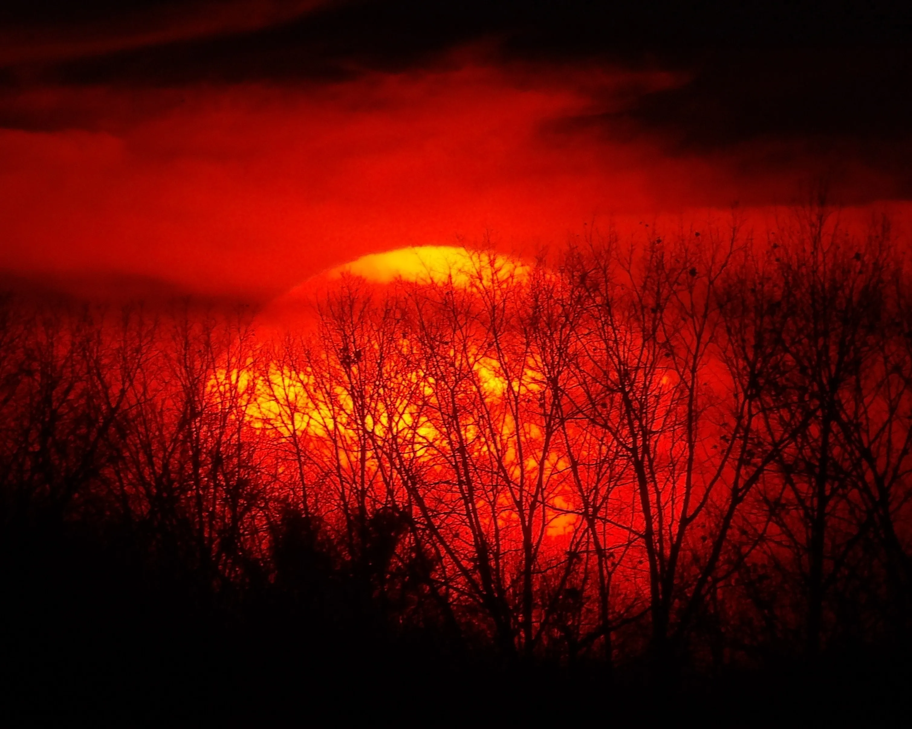 Trees in Front of the Sun (in colour)
