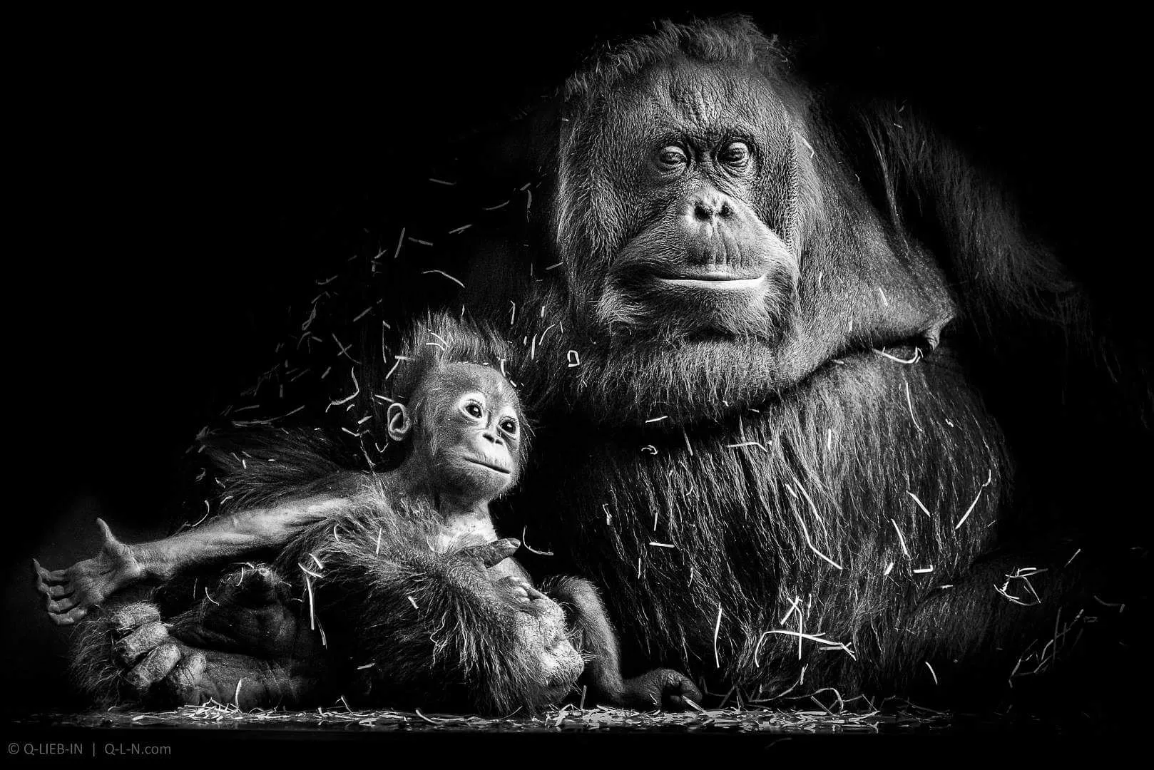 Black Background