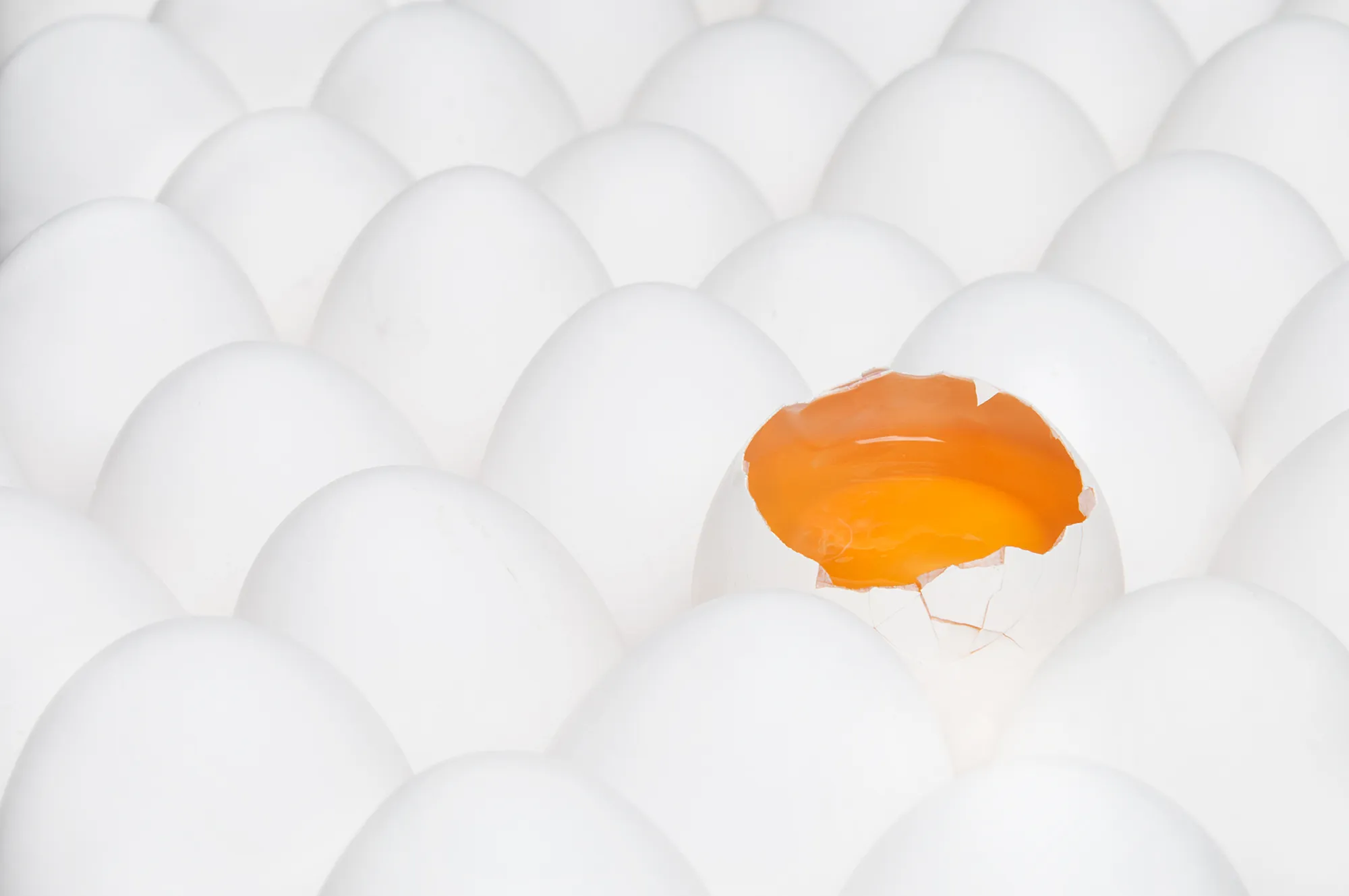 Eggs