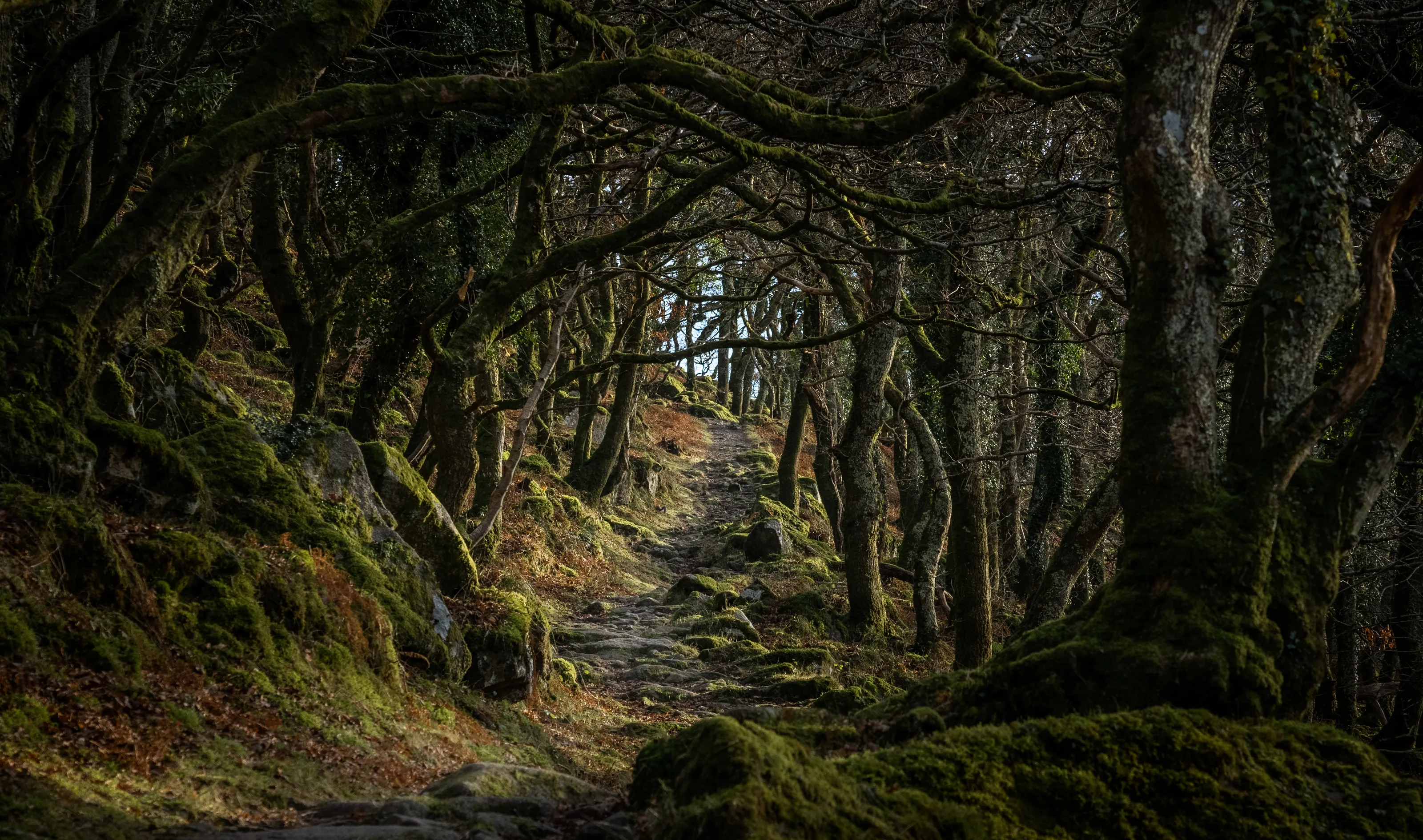 Off the beaten path