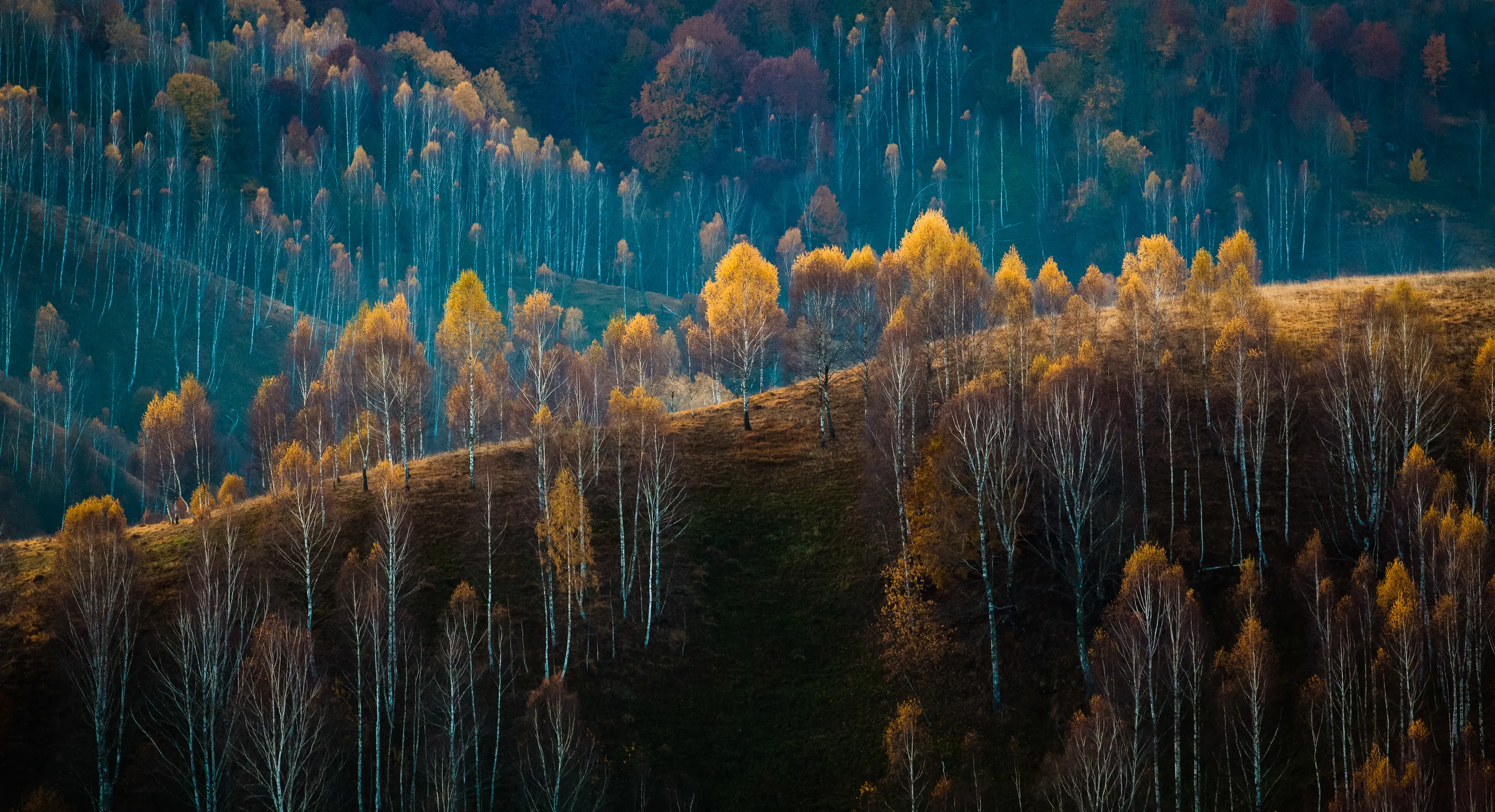 Nature