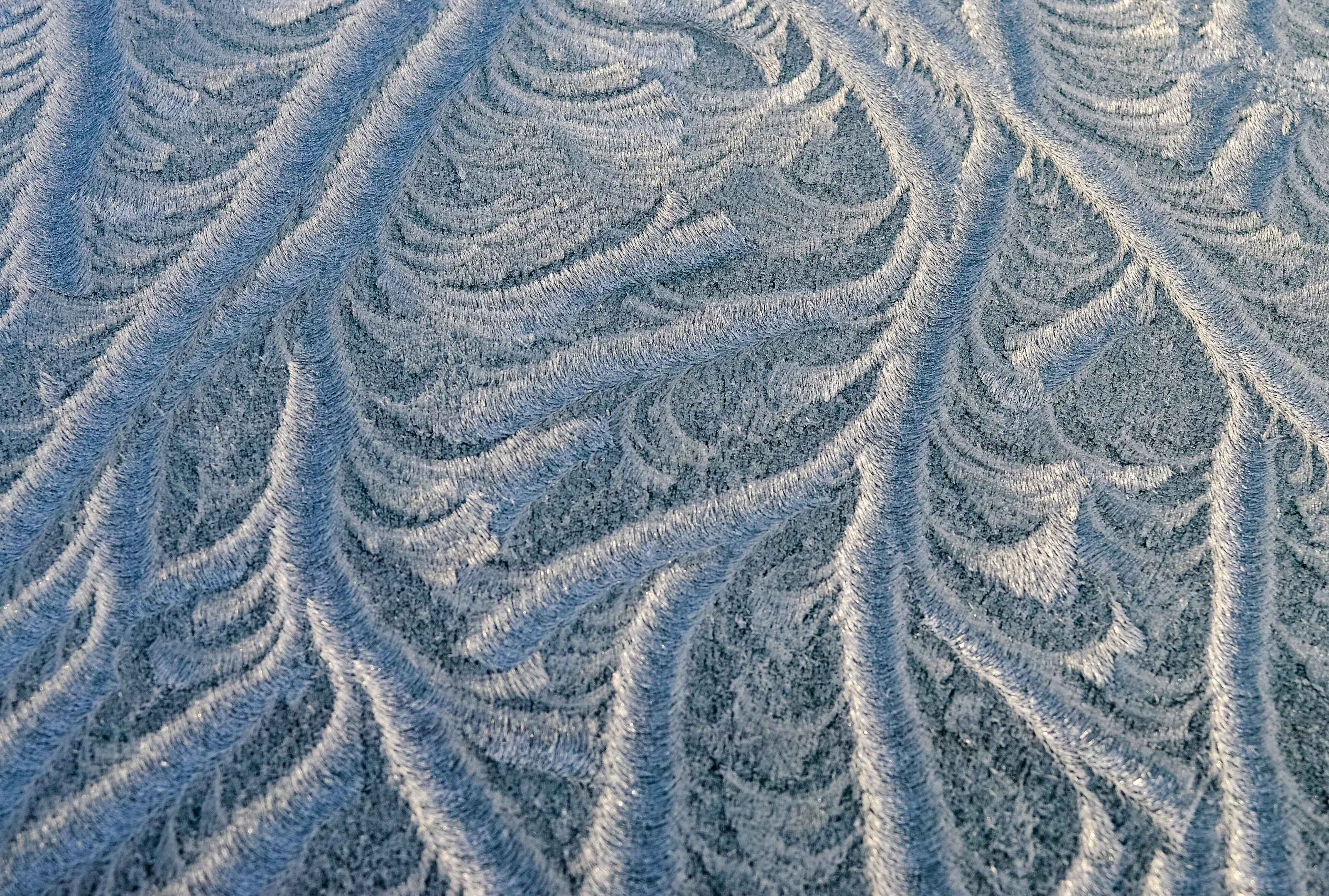 Winter detail