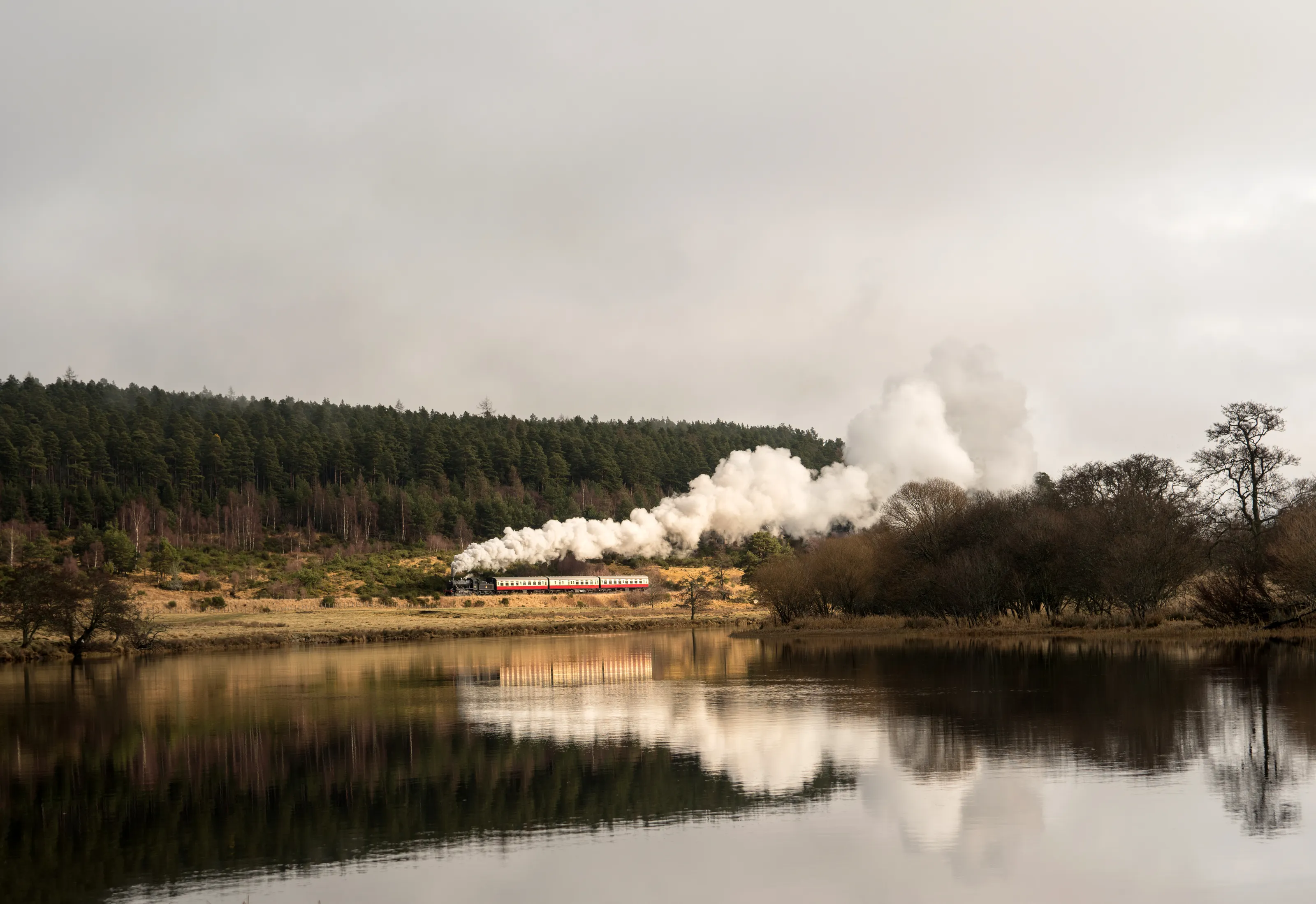Steam Trains
