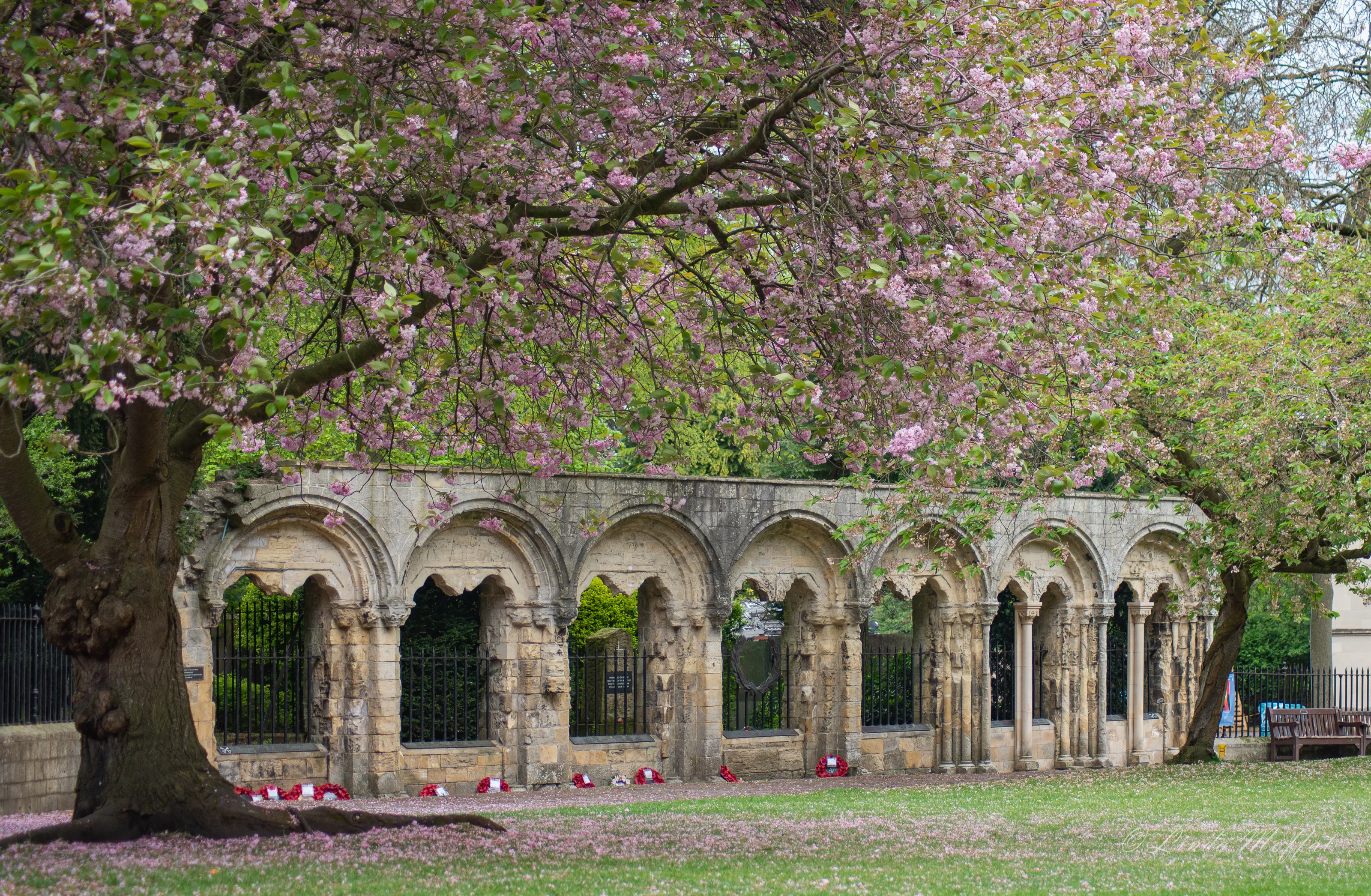 Arches