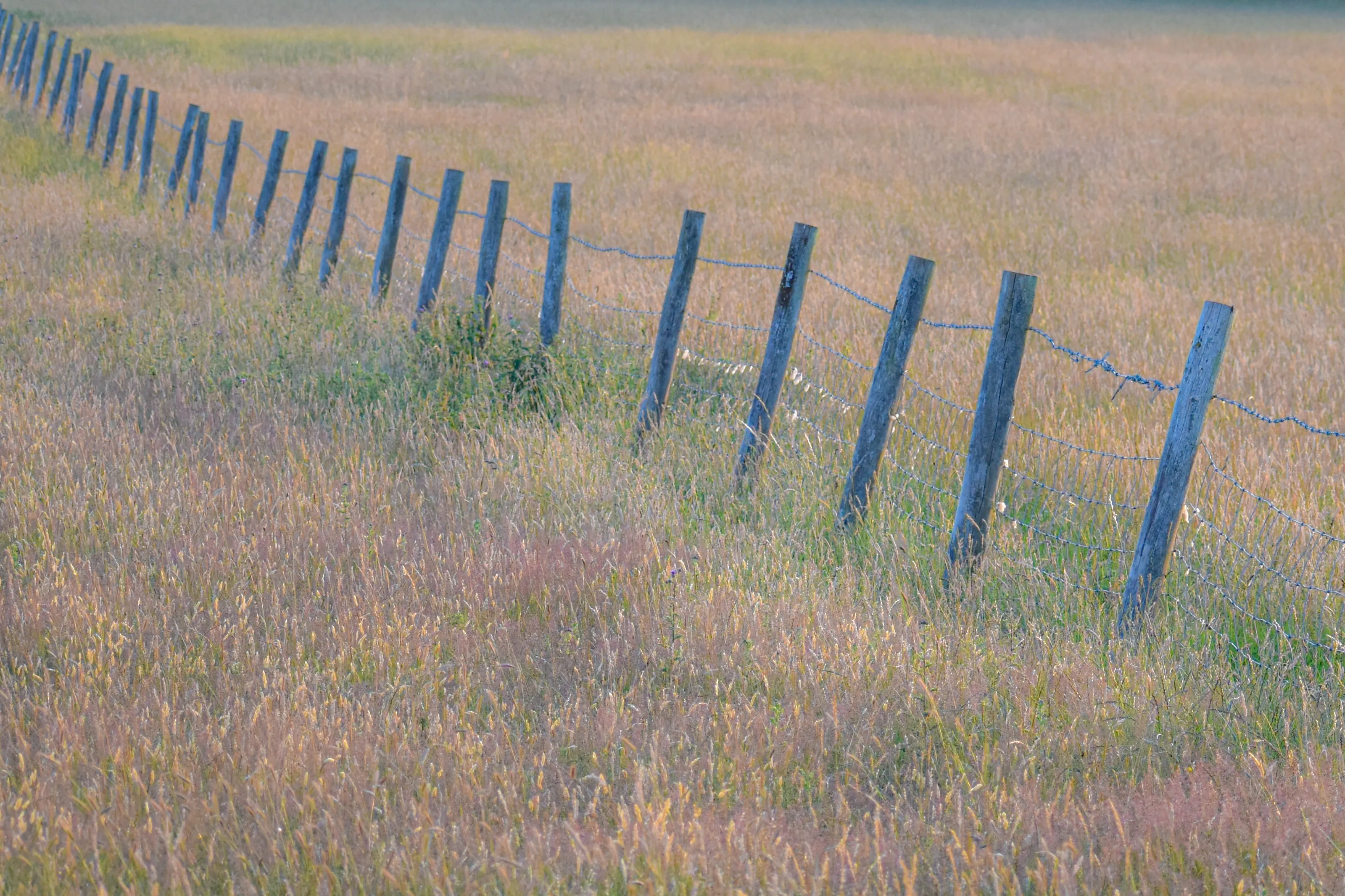 Fences