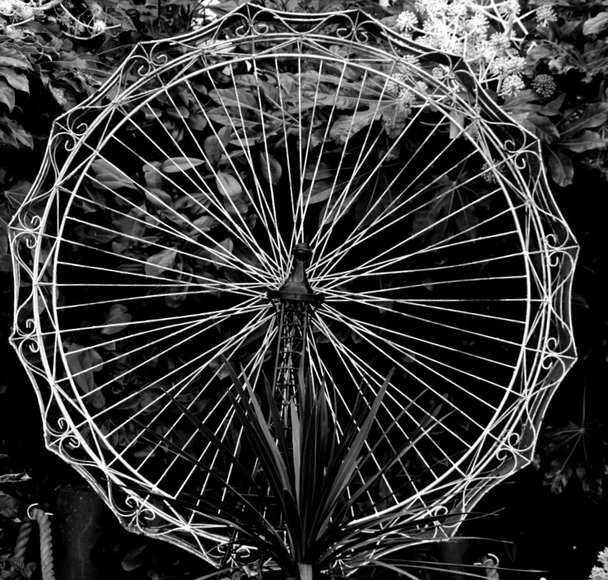 Lines and Circles Together