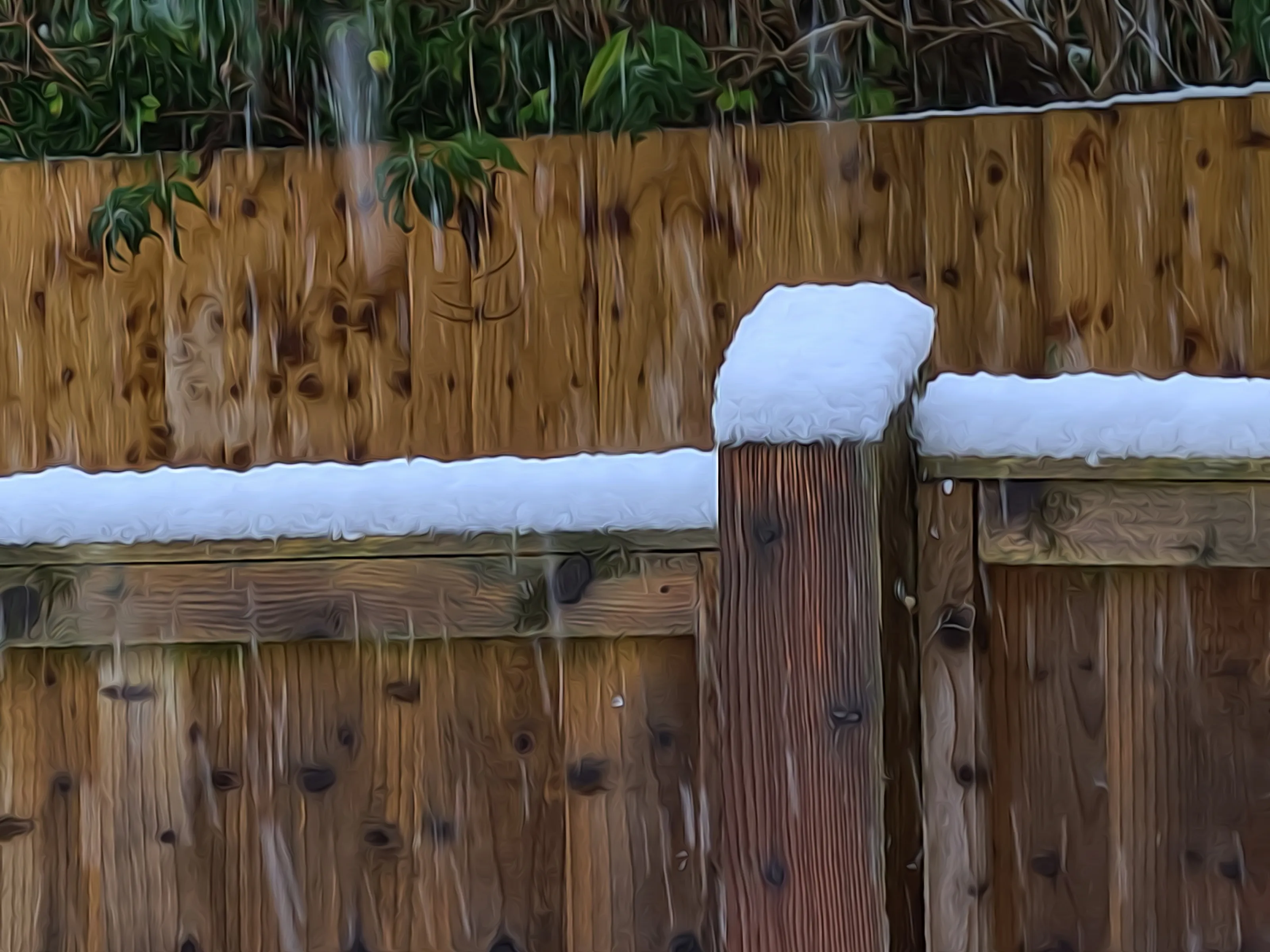 Something on Top of a Fence
