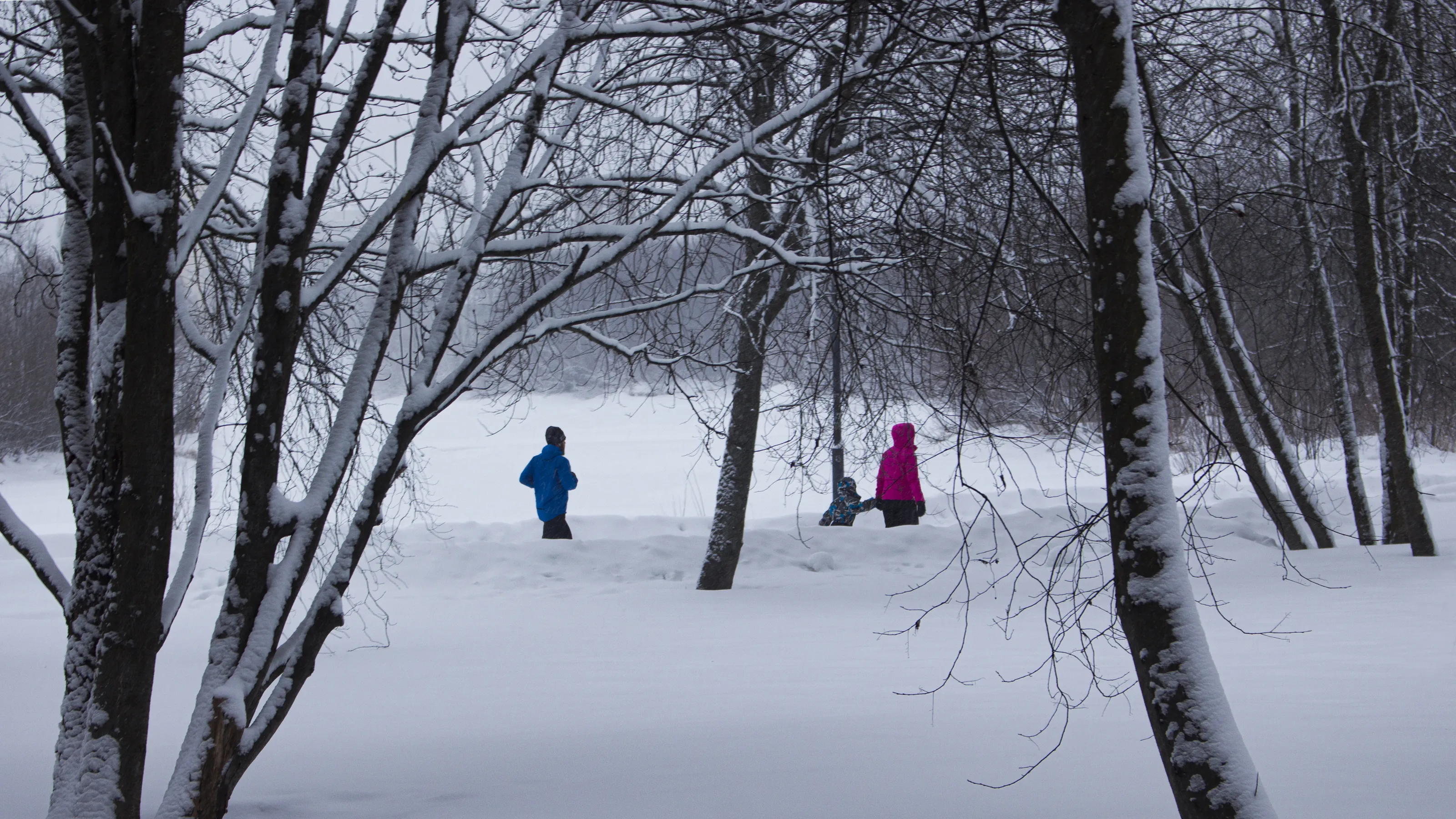 People in the Snow