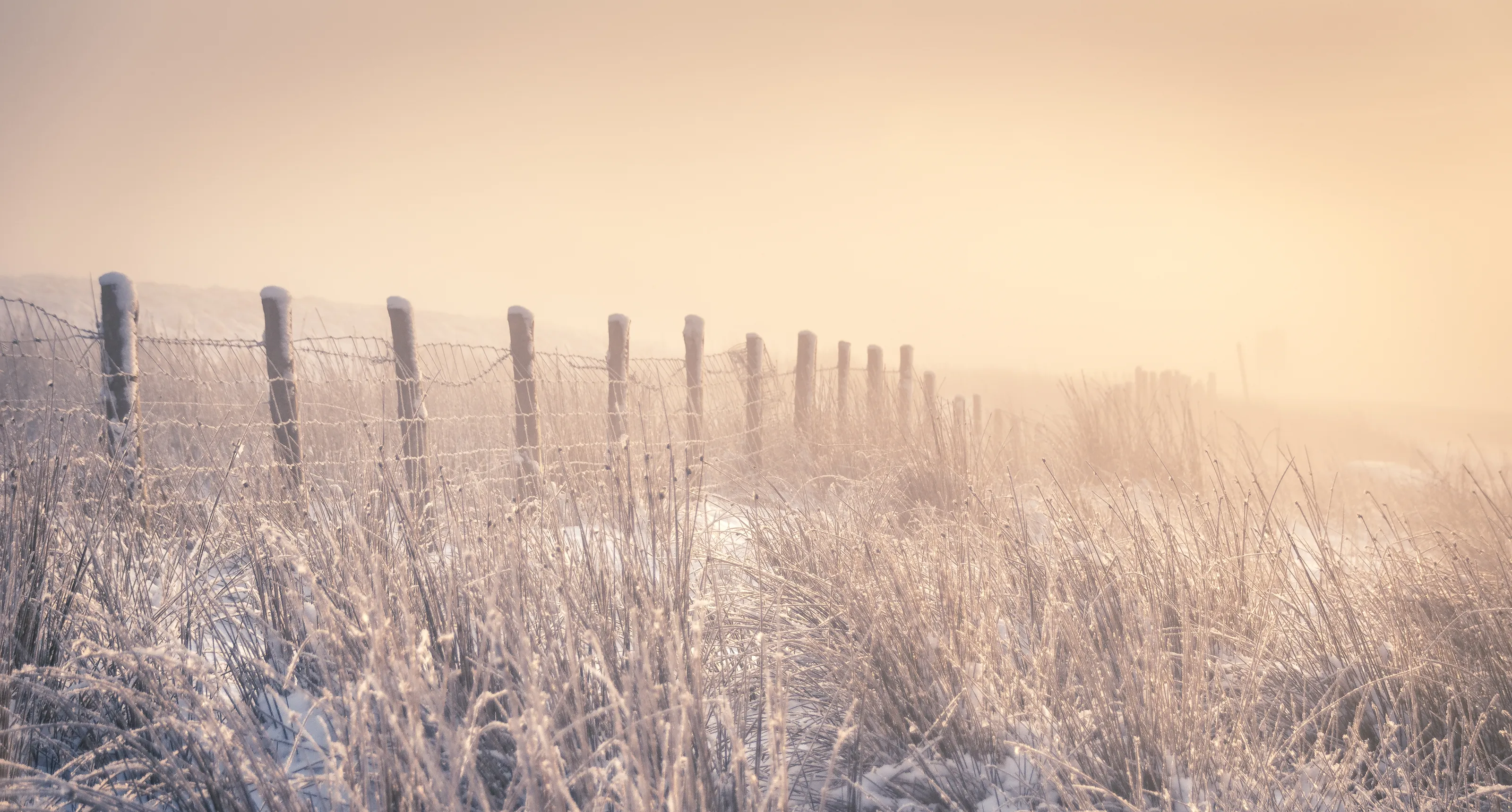 Frosty landscapes