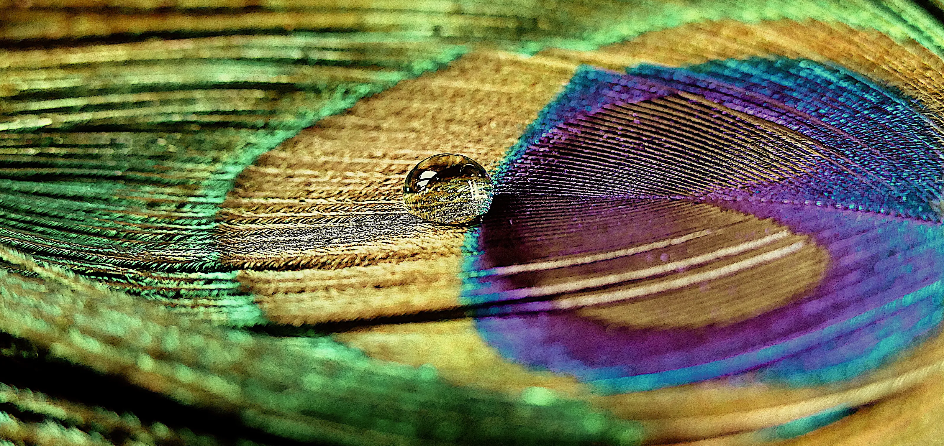 The small details