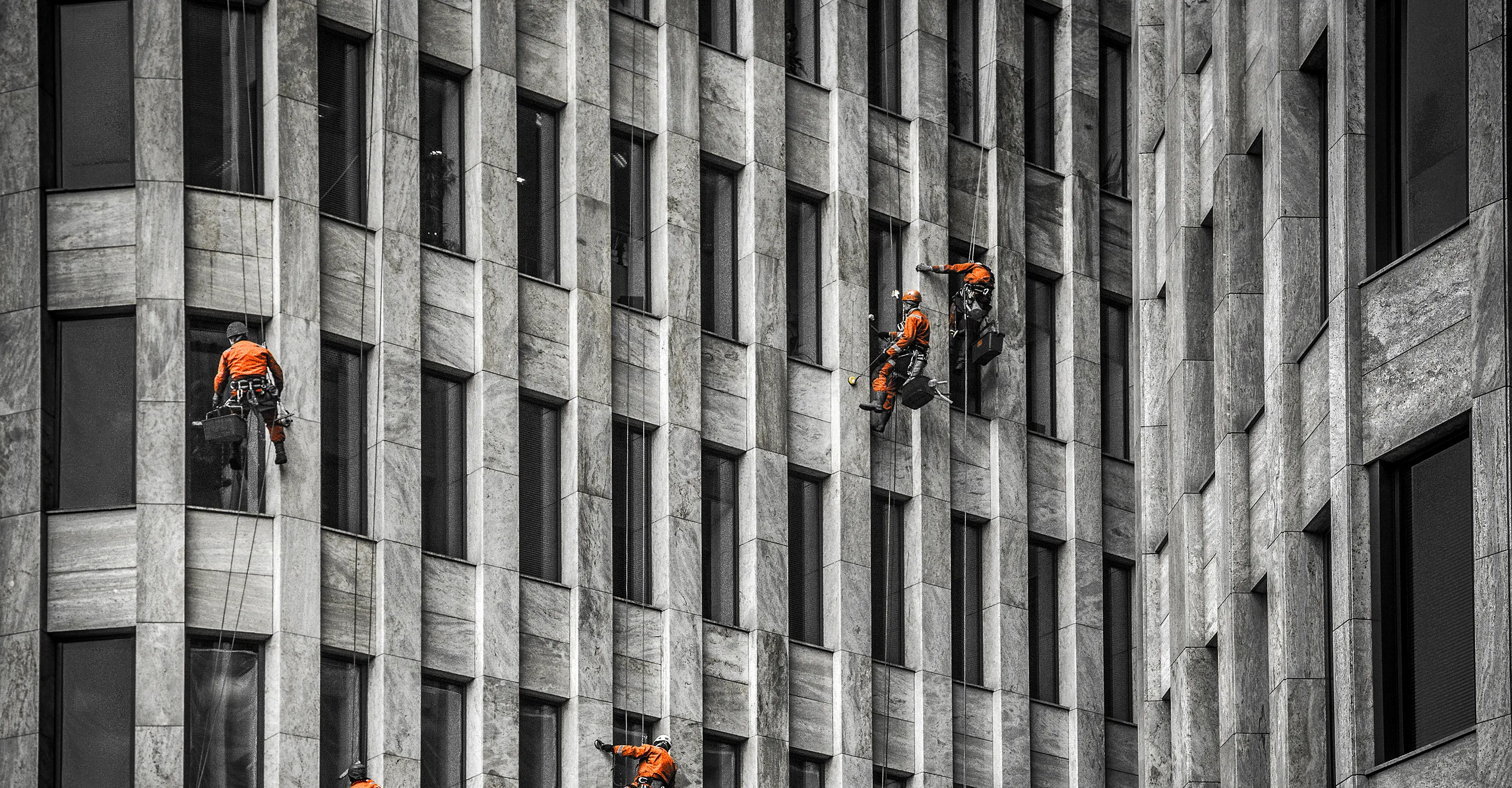 The world of work