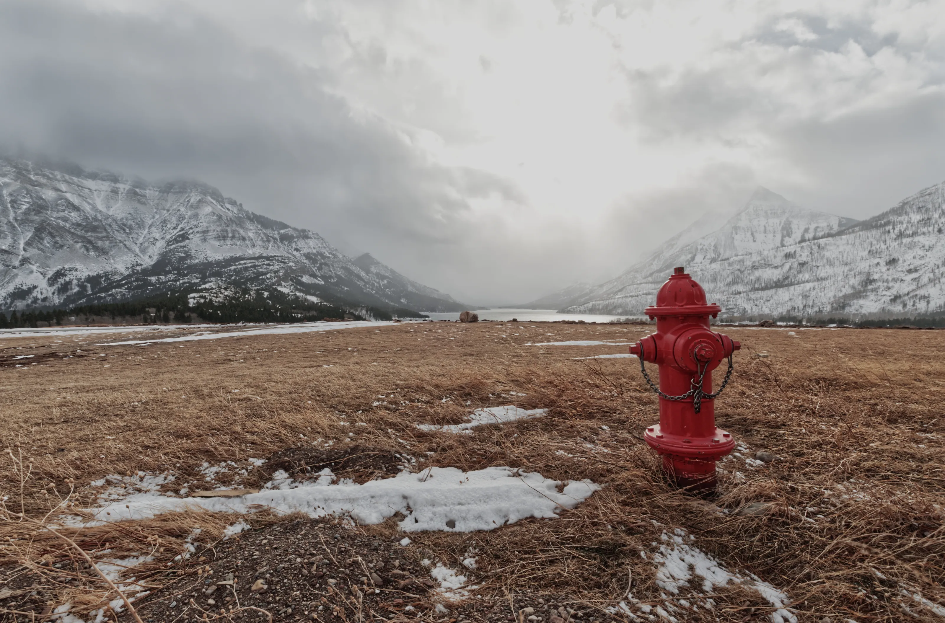 Fire Hydrants in Colour