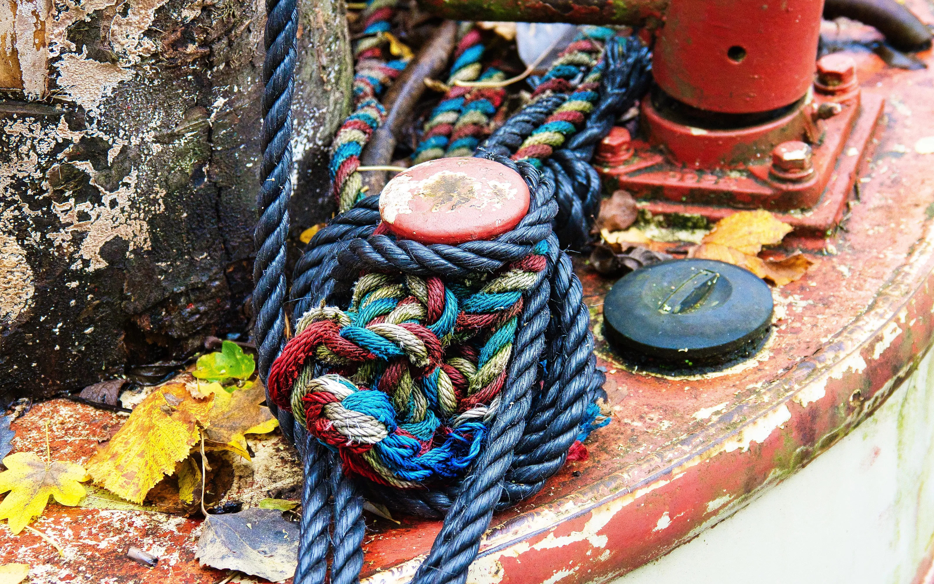Knots