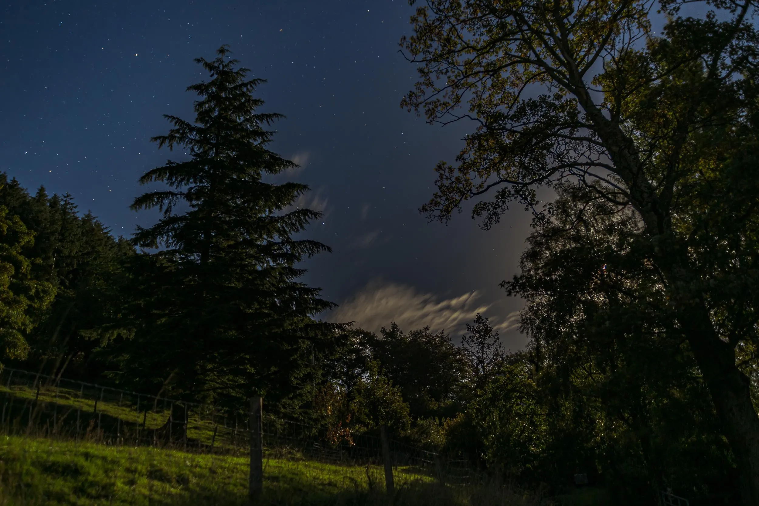 Silent Night
