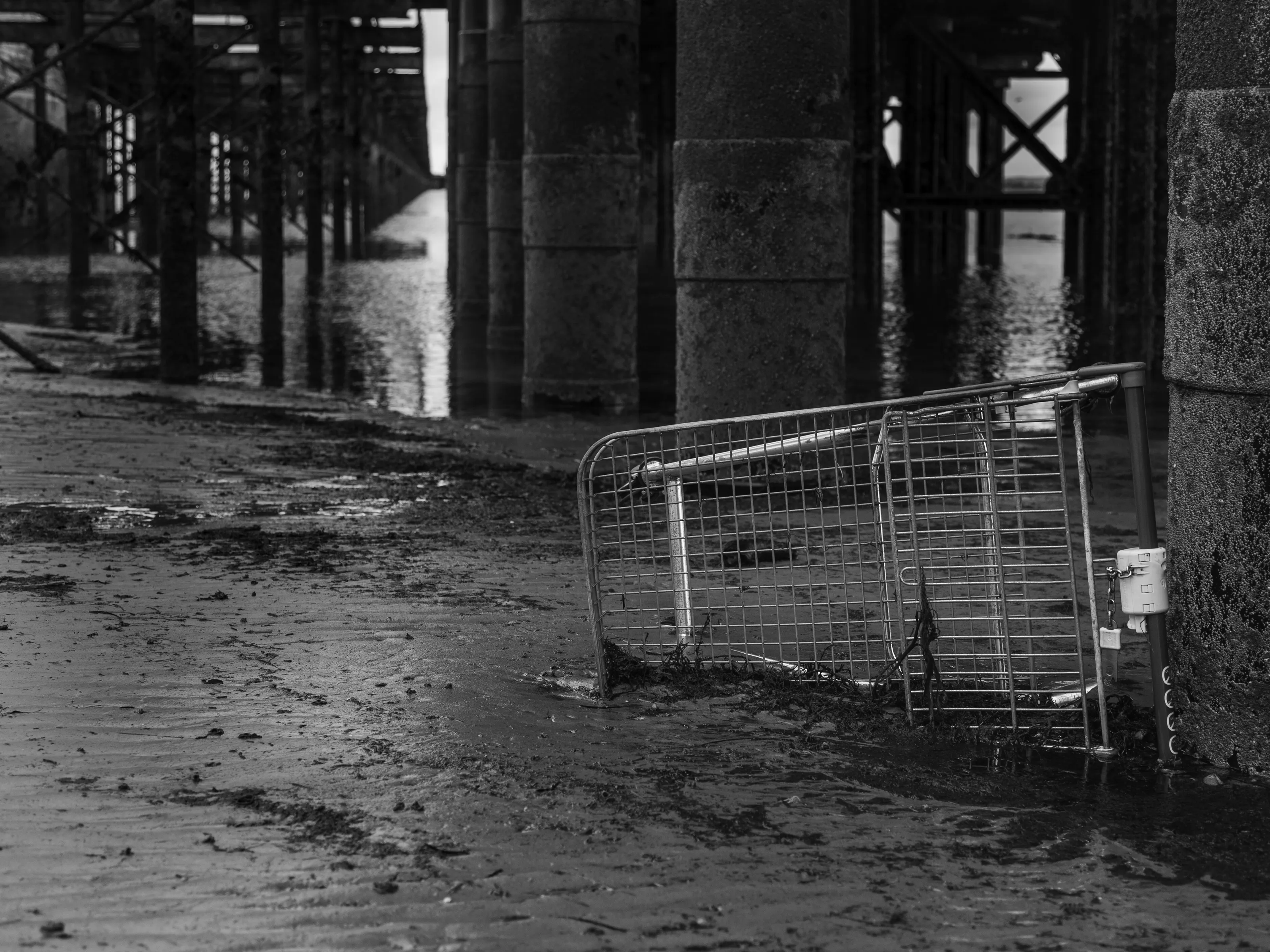 Dumped: Environmental Pollution