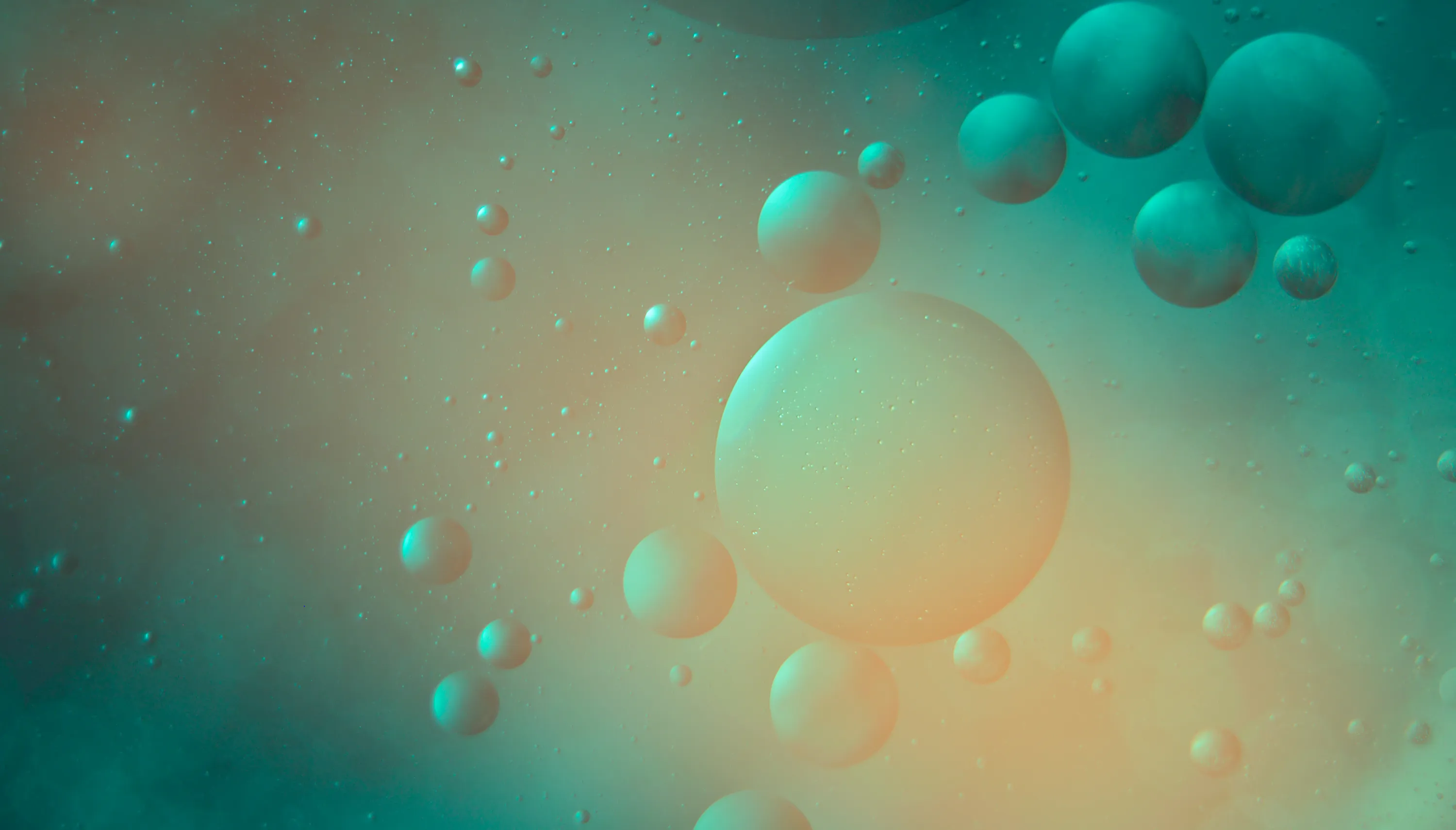 Circles in Abstract
